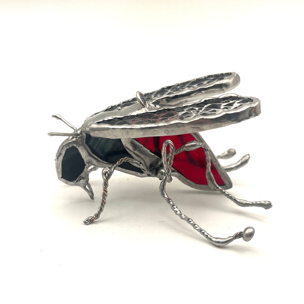 Black Fly-2