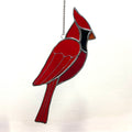 Cardinal-26