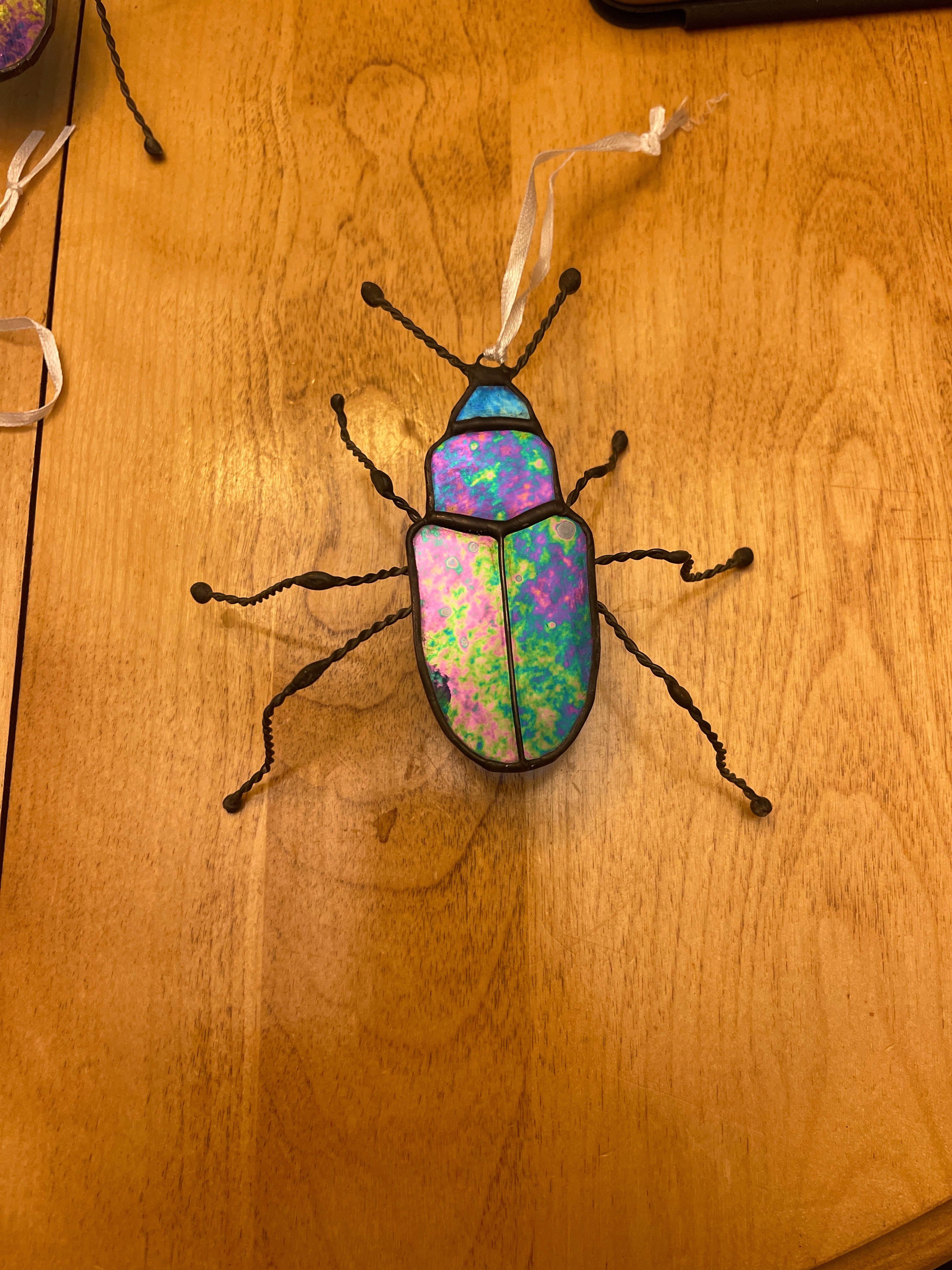 Cobalt Milkweed Beetle-2