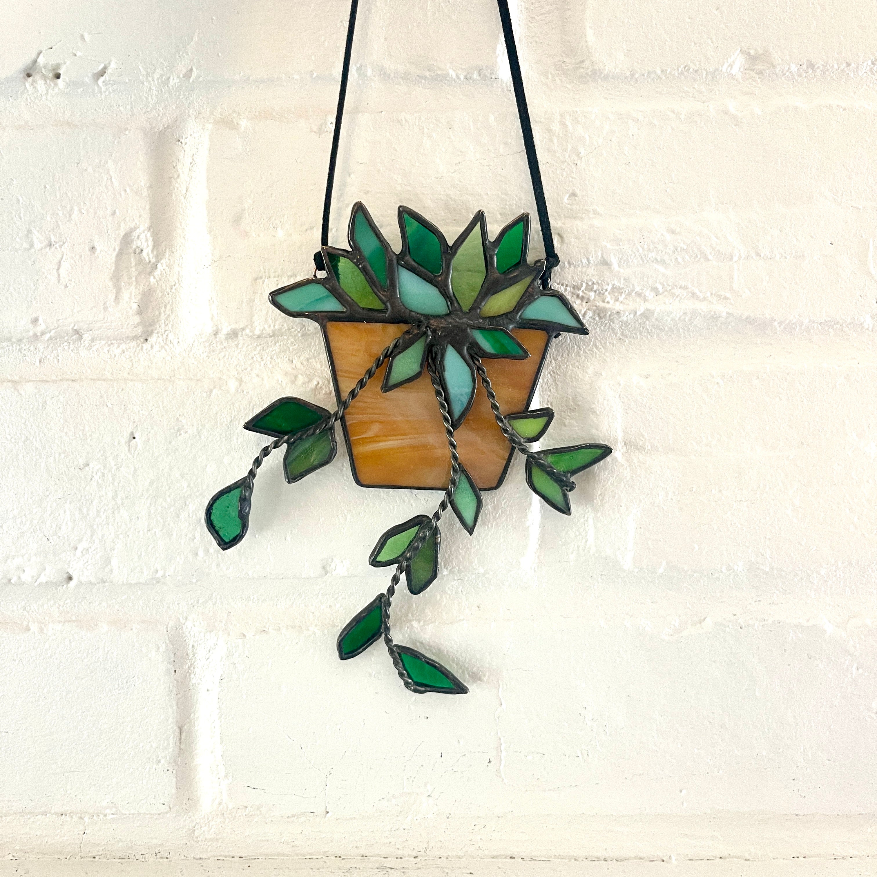 Hanging Plant-13