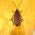 Milkweed Beetle-3