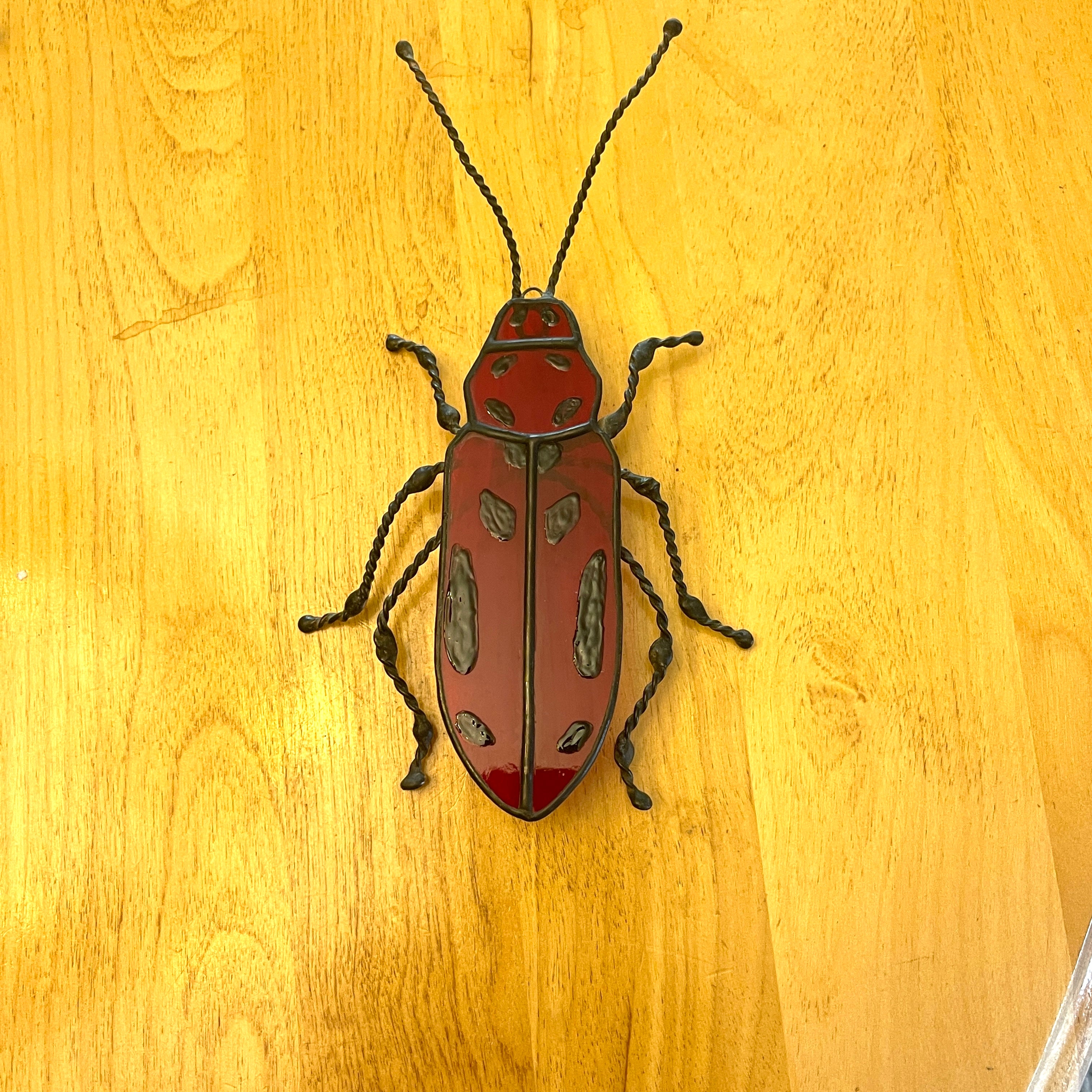Milkweed Beetle-3
