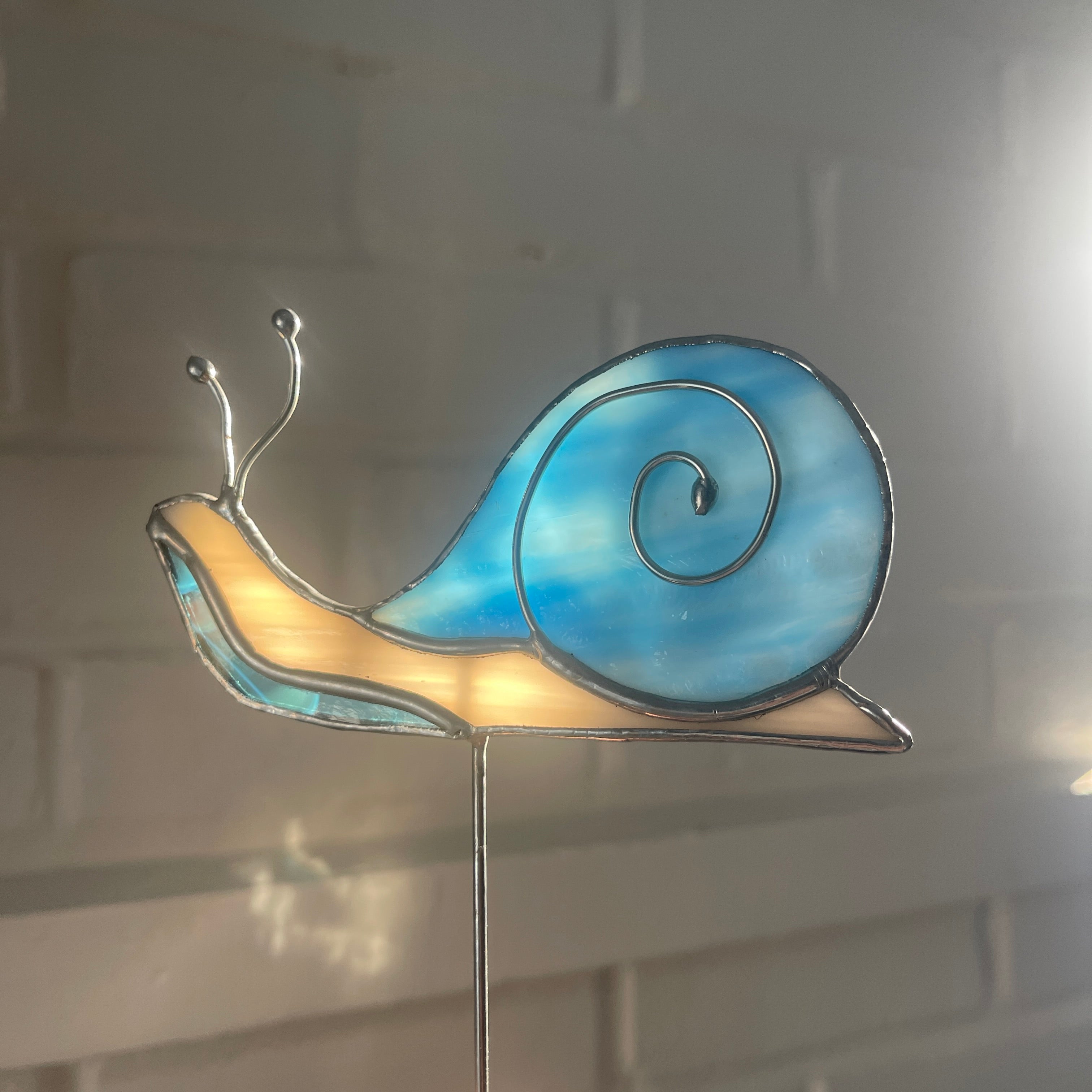 Snail-31