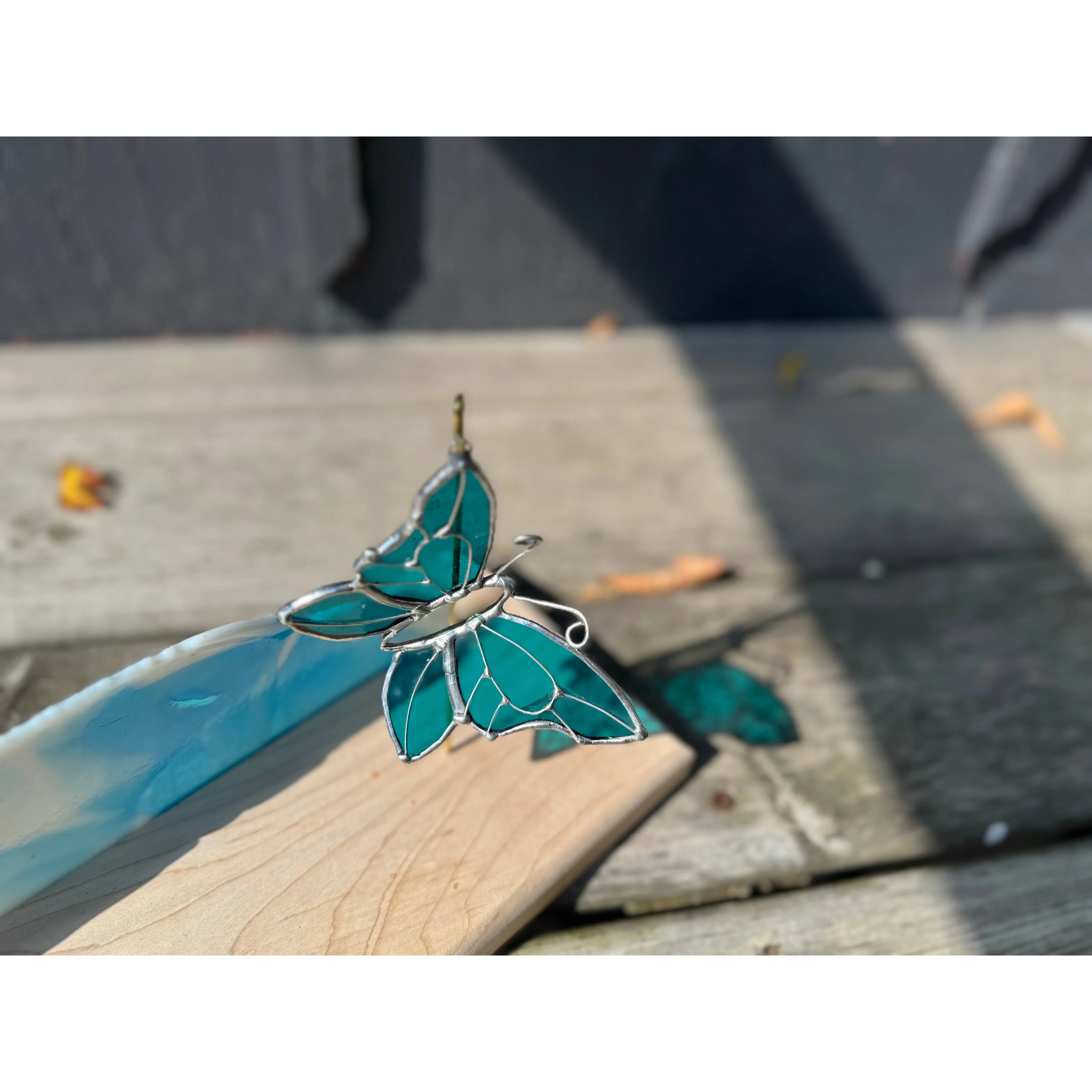 Time To Go (butterfly on maple wood)