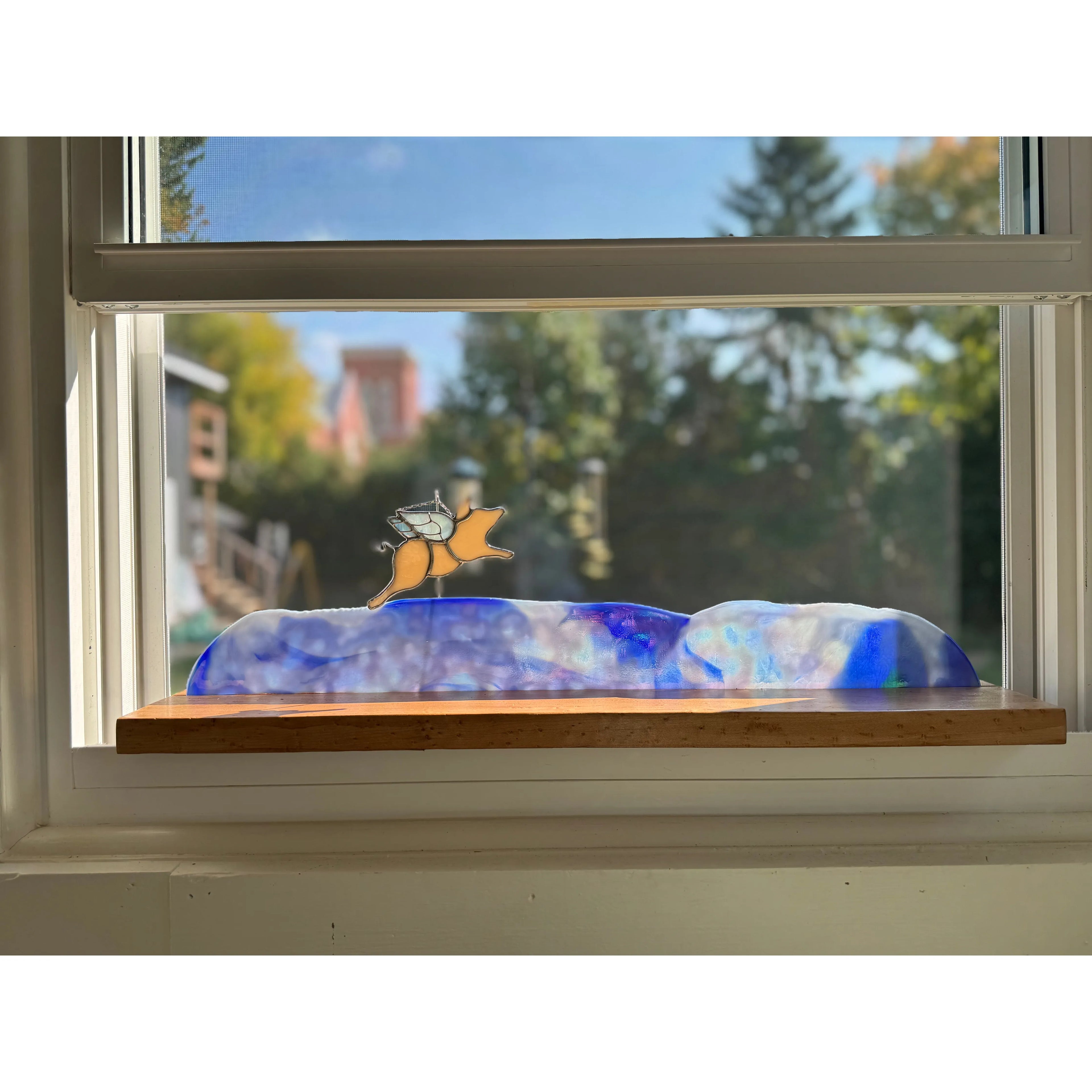 When Pigs Fly on Birdseye Maple