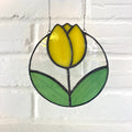 Tulip -5