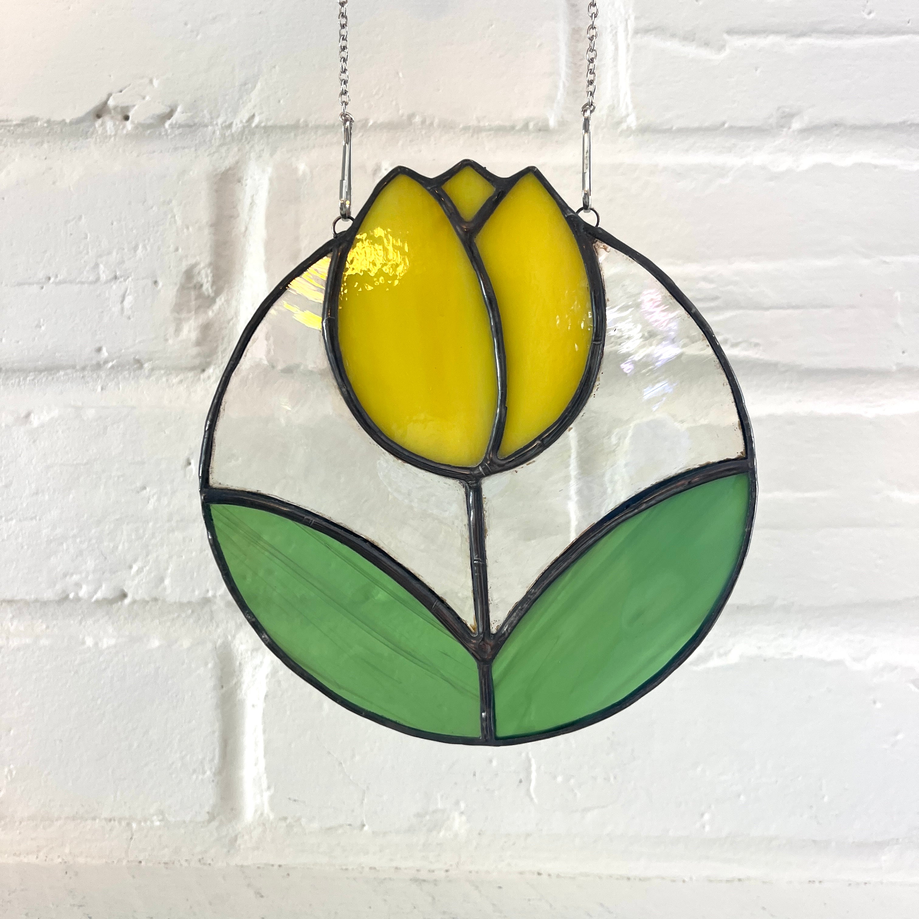 Tulip -5