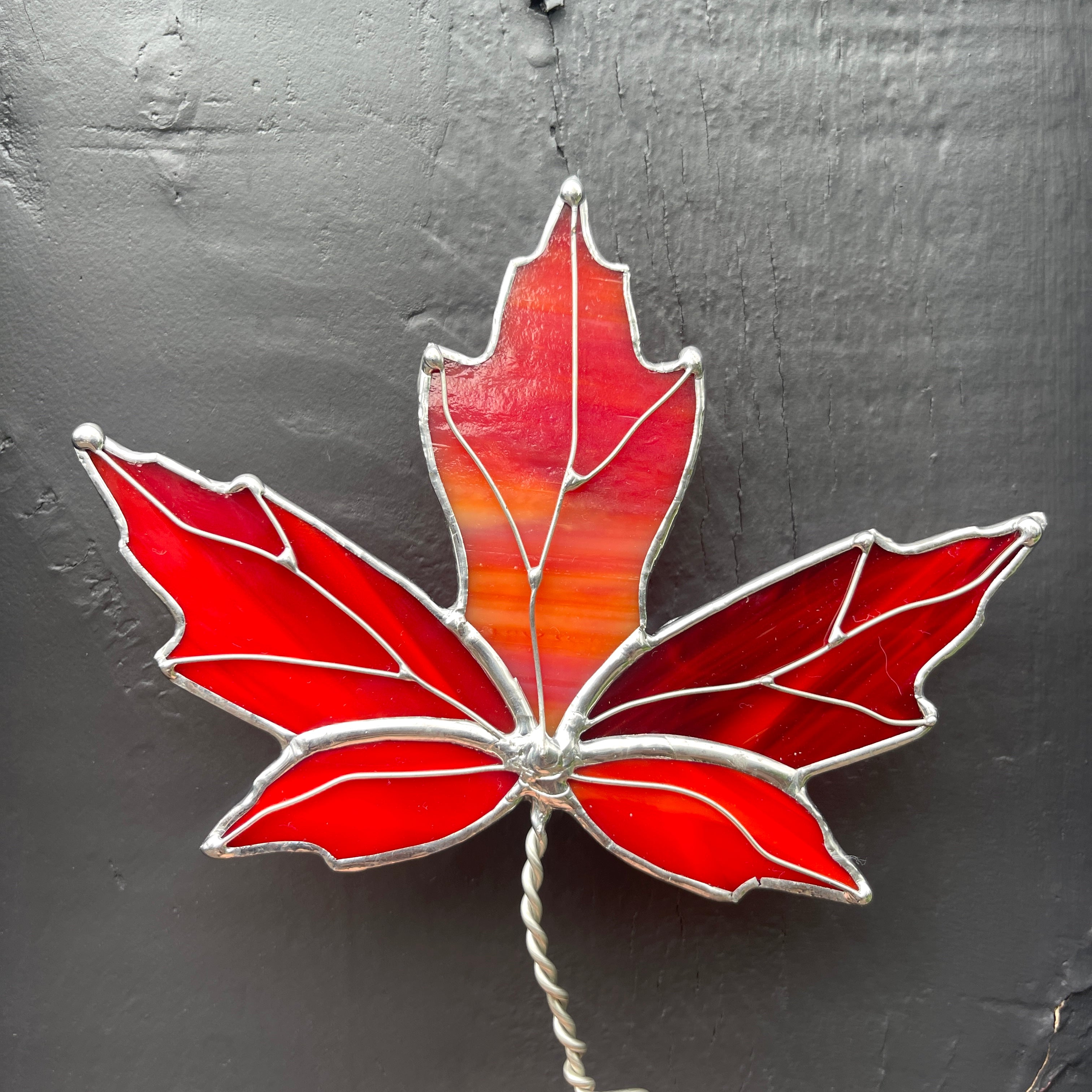 Maple Leaf-3