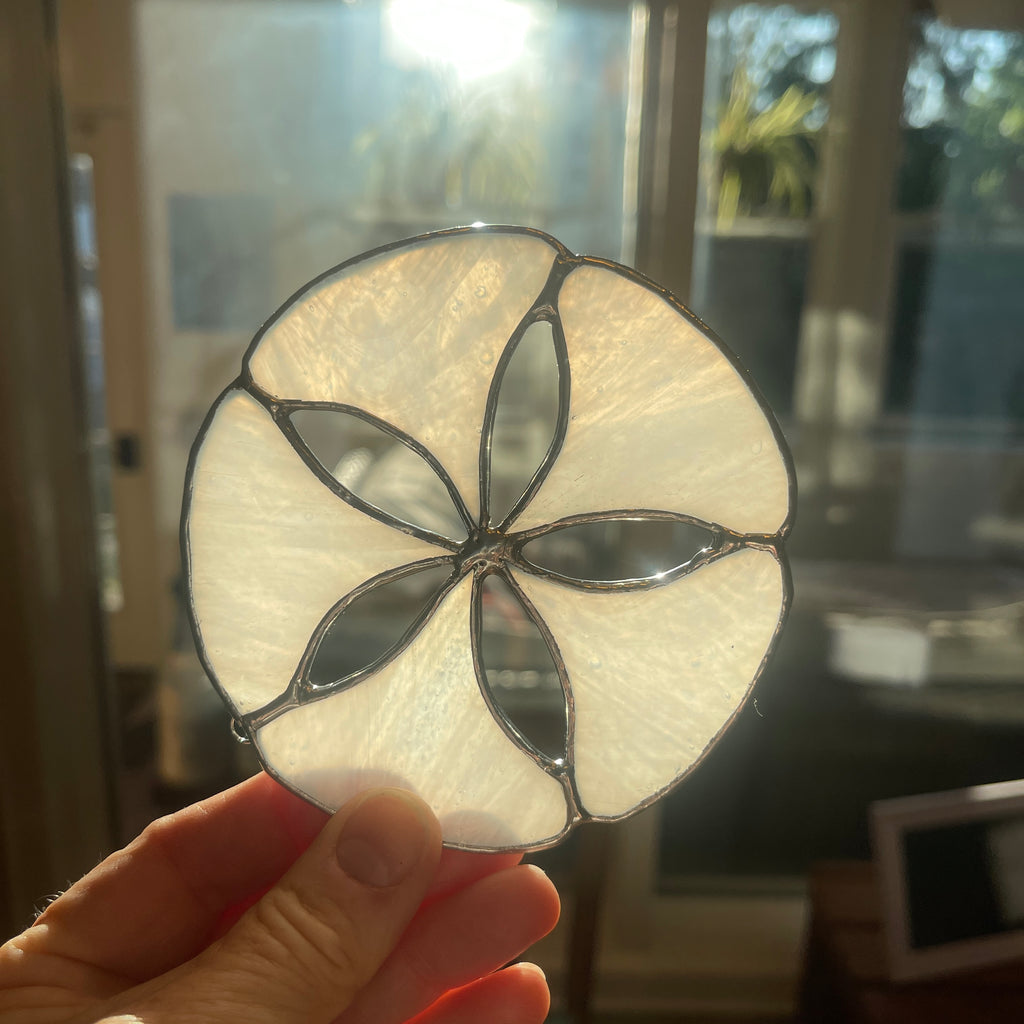 Sand Dollar-1