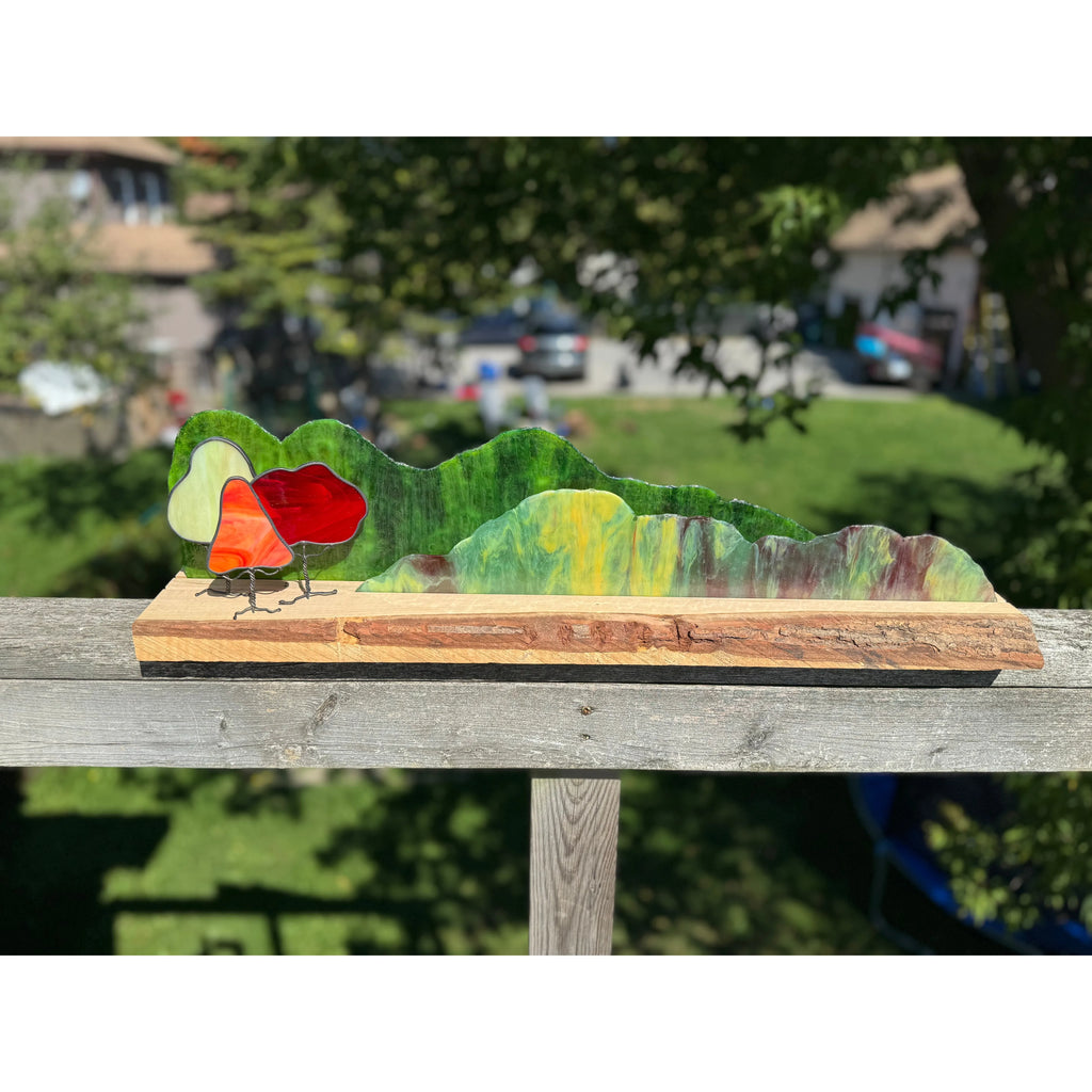 Fall Foliage on Ambrosia Maple With Live Edge Bark