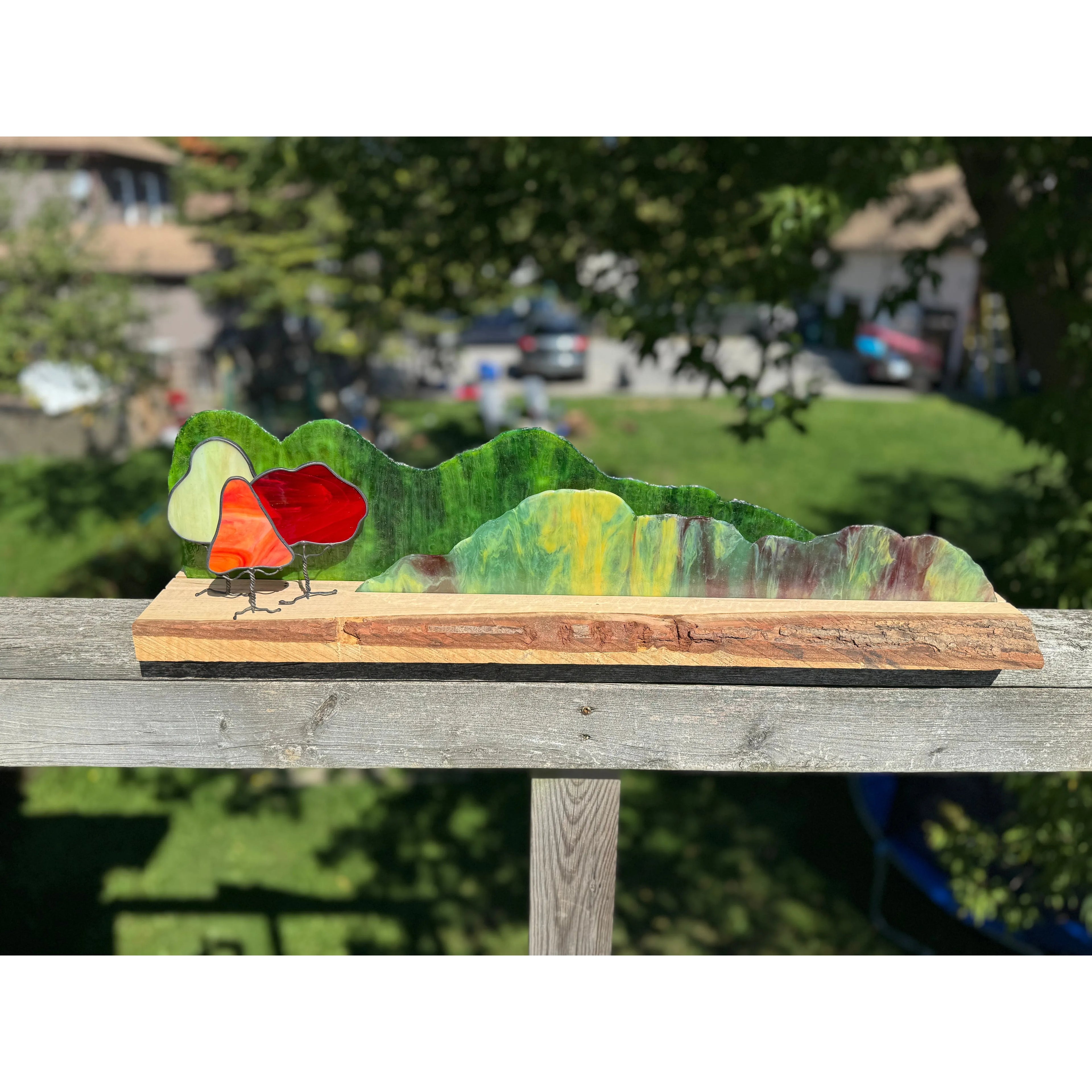 Fall Foliage on Ambrosia Maple With Live Edge Bark