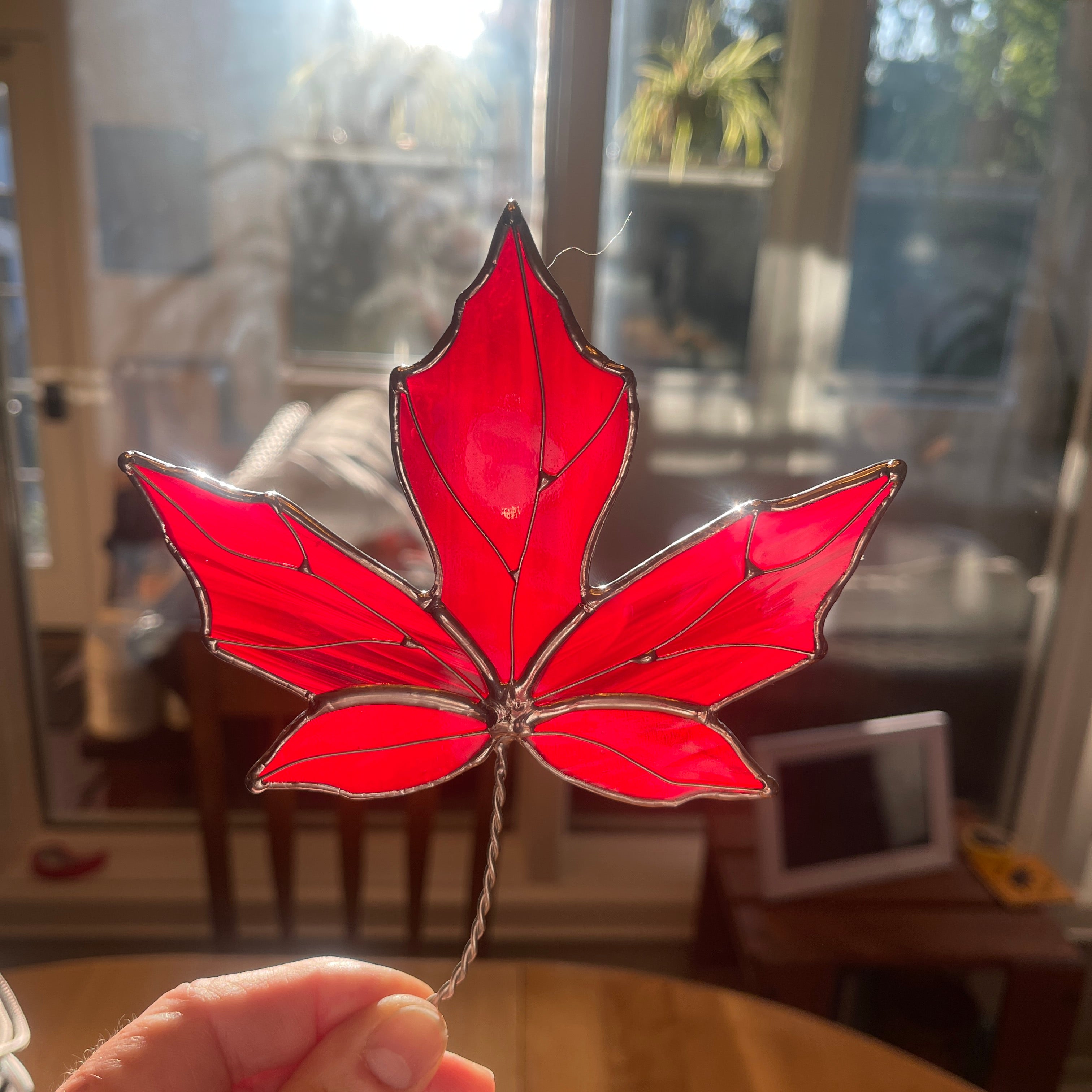 Maple Leaf-4