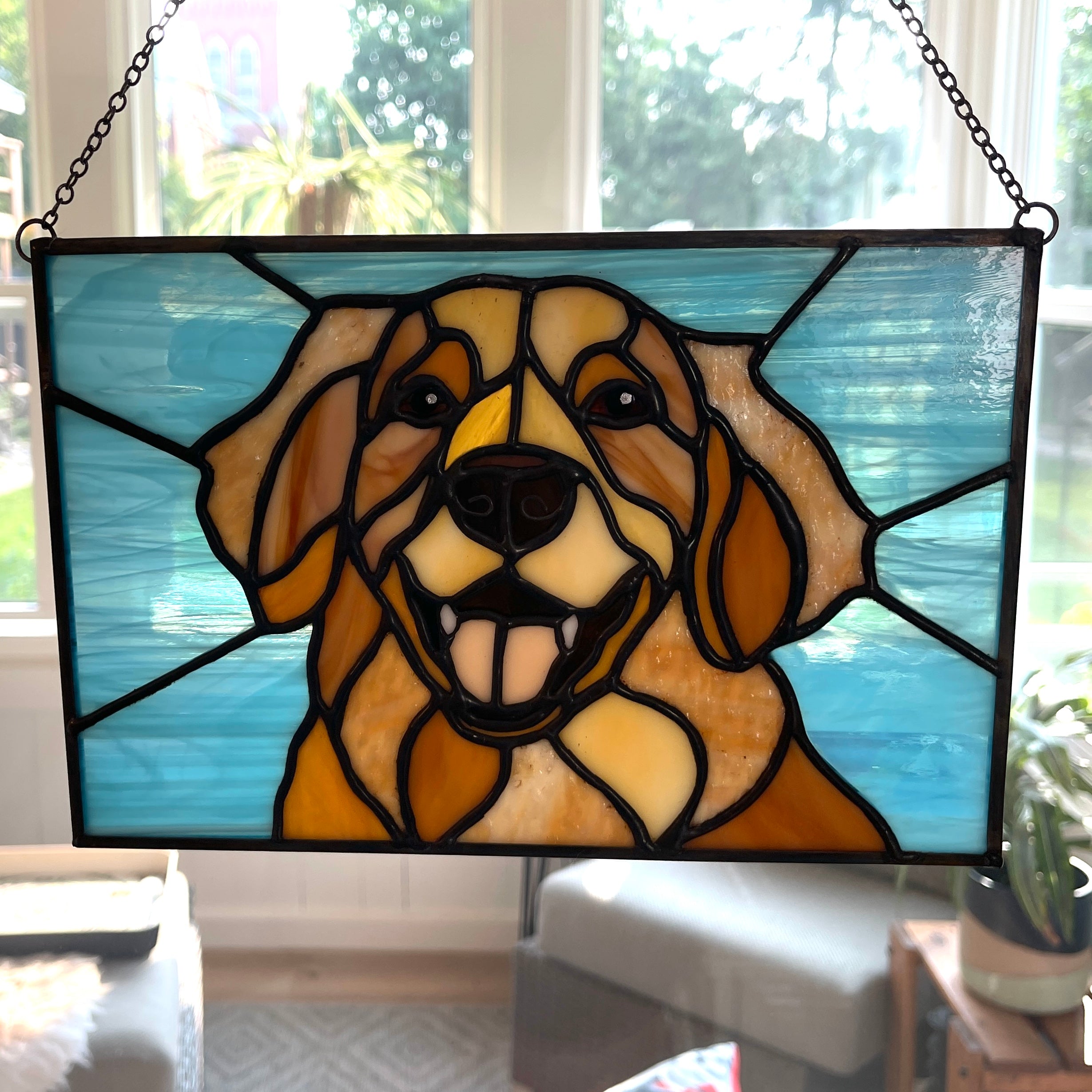 Golden Retriever-6
