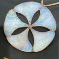 Sand Dollar-6