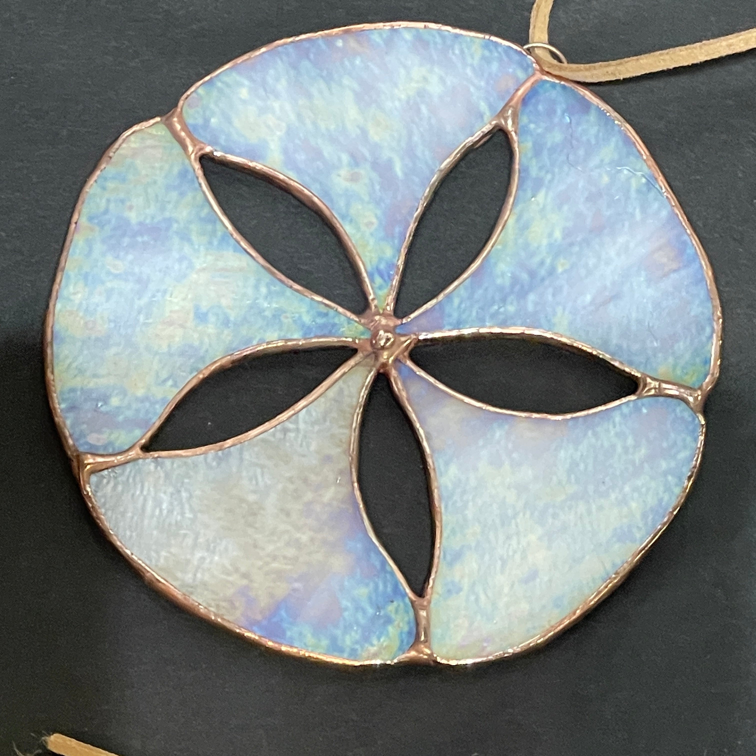 Sand Dollar-6