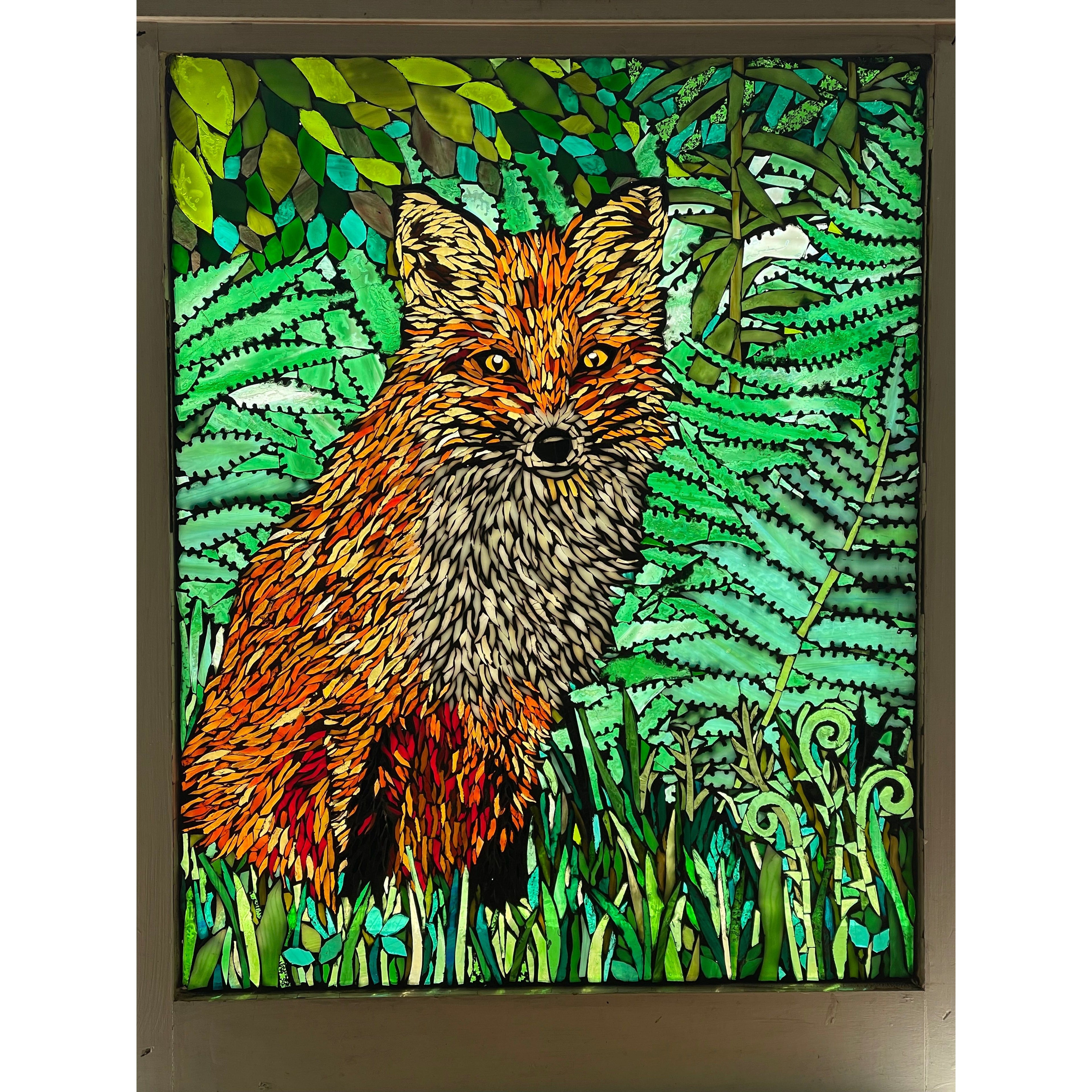 Fox in Ferns