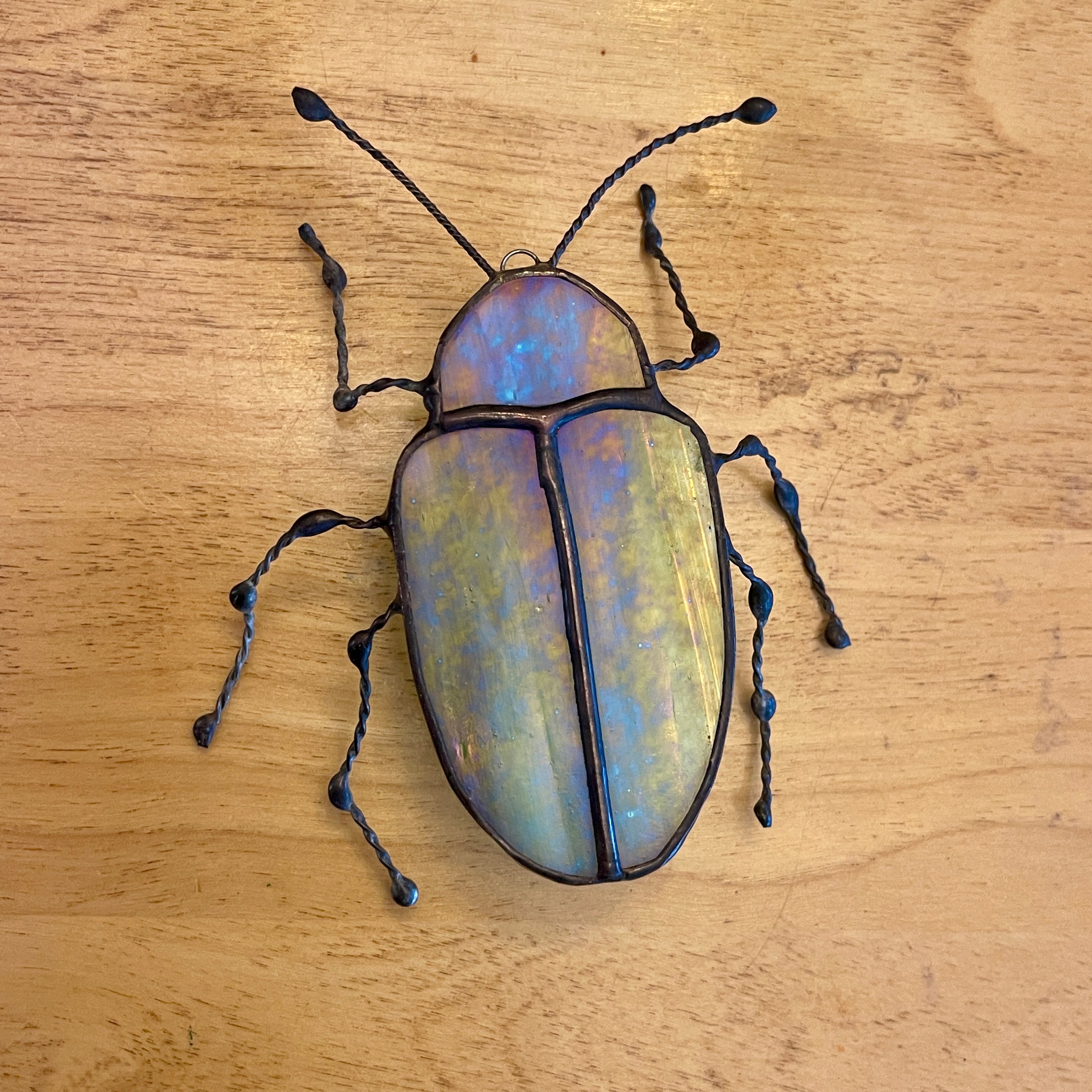 Dogbane Beetle-2