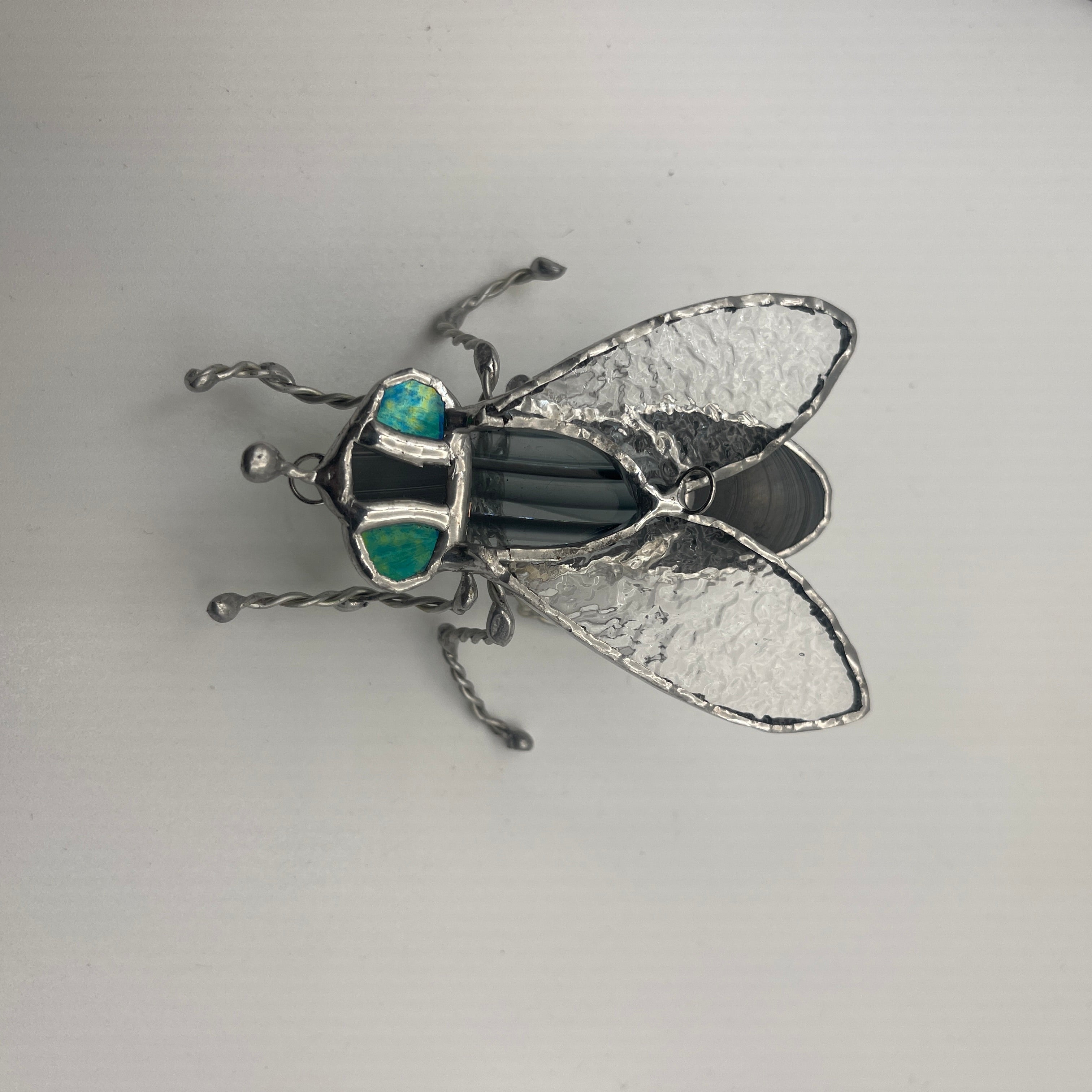 House Fly-1