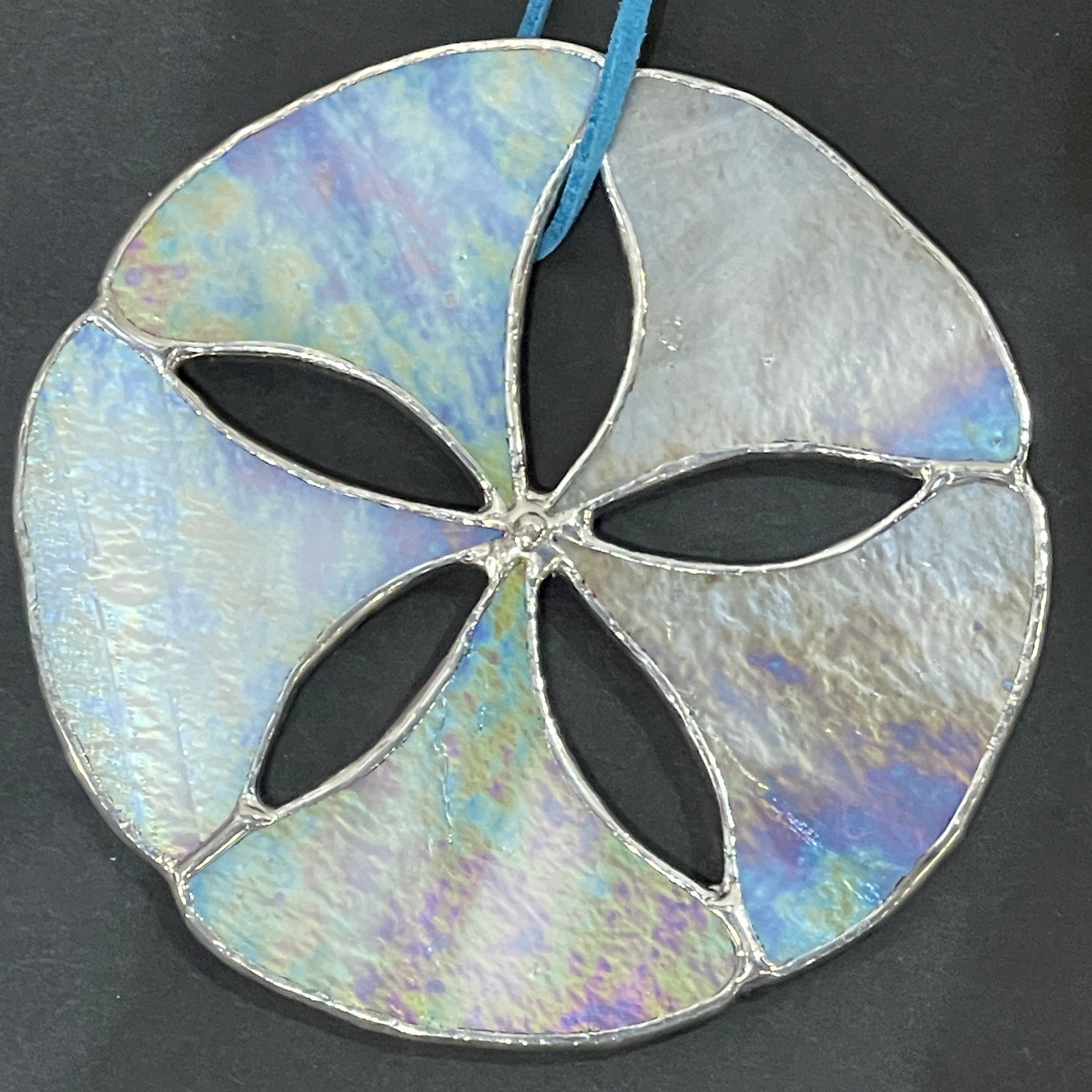 Sand Dollar-4
