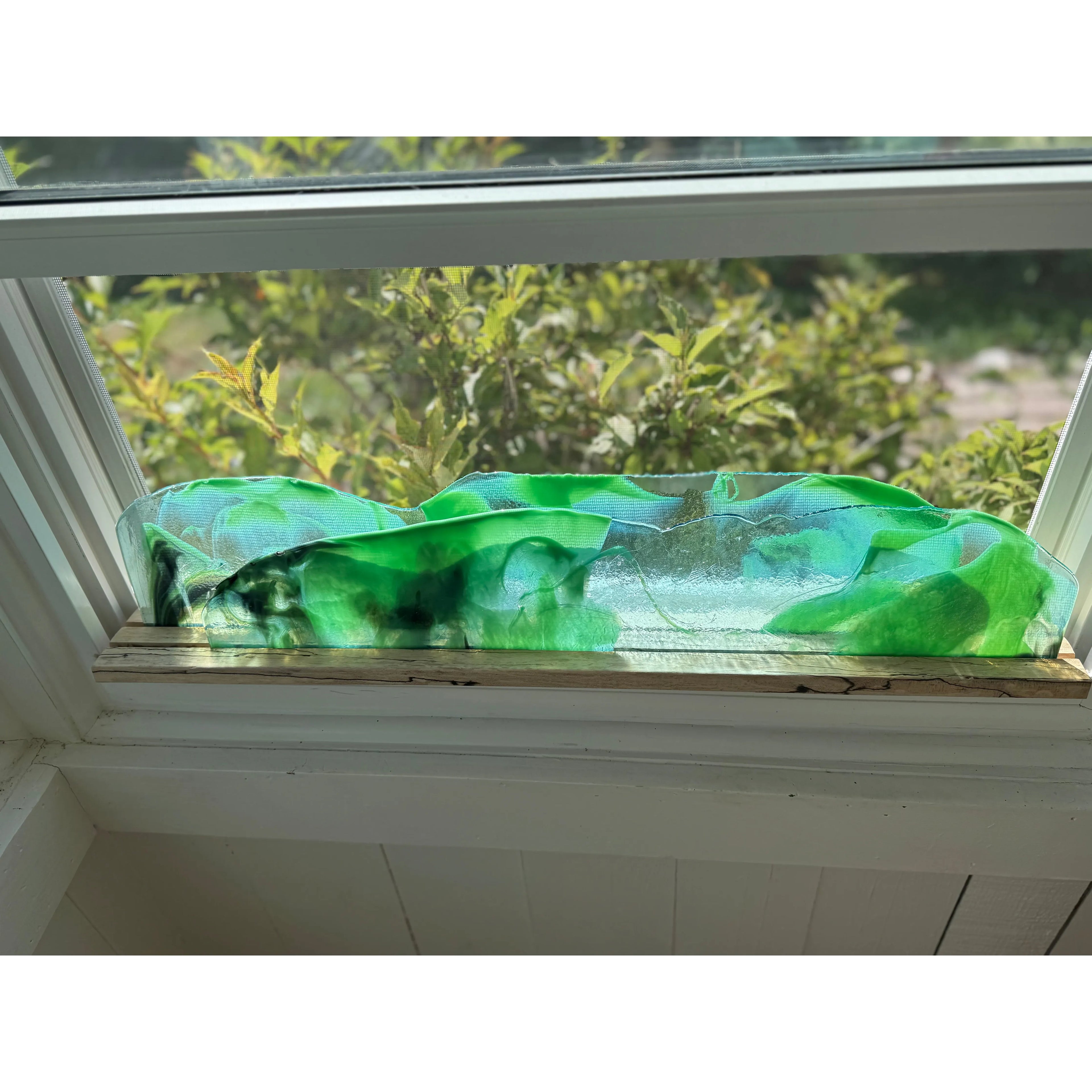 Forest View on Spalted Maple