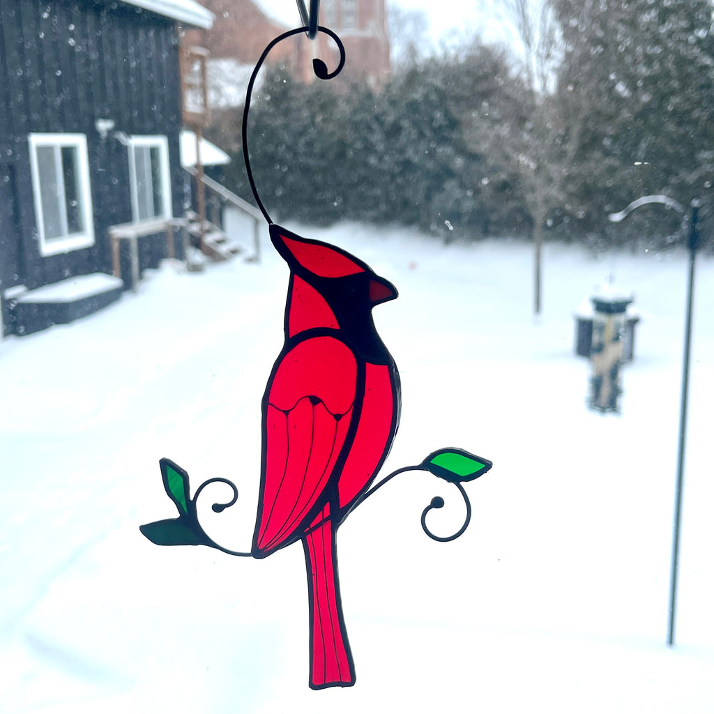 Cardinal-21