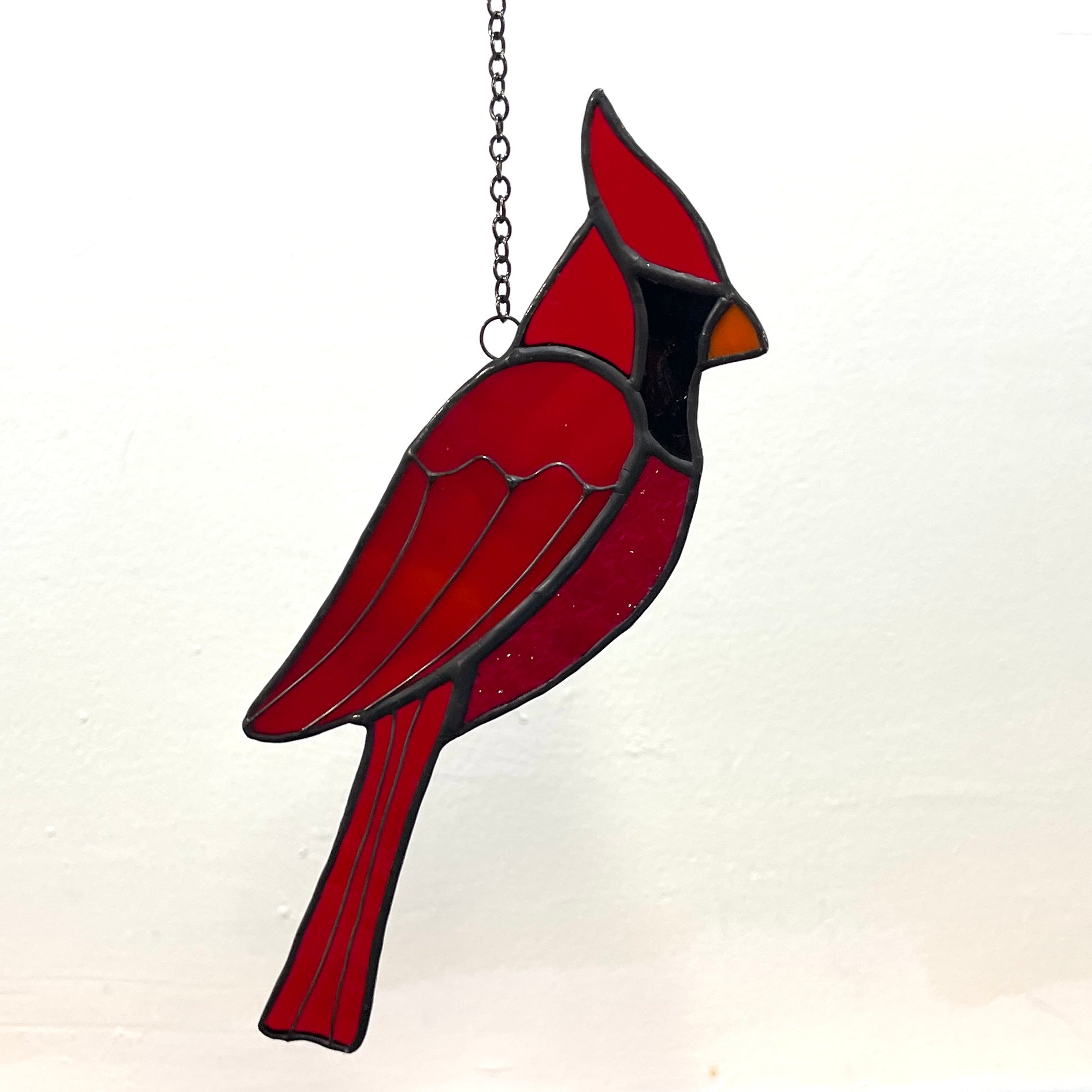 Cardinal-24