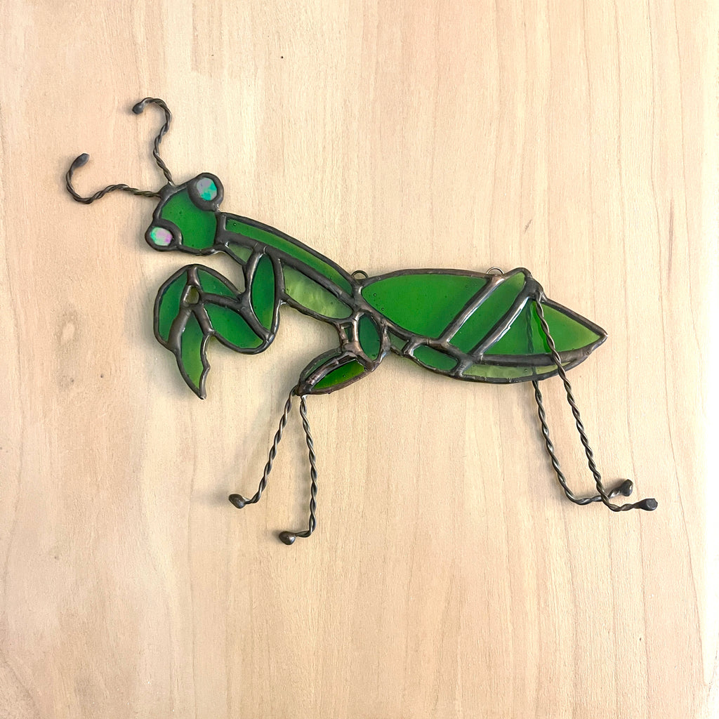 Preying mantis-1