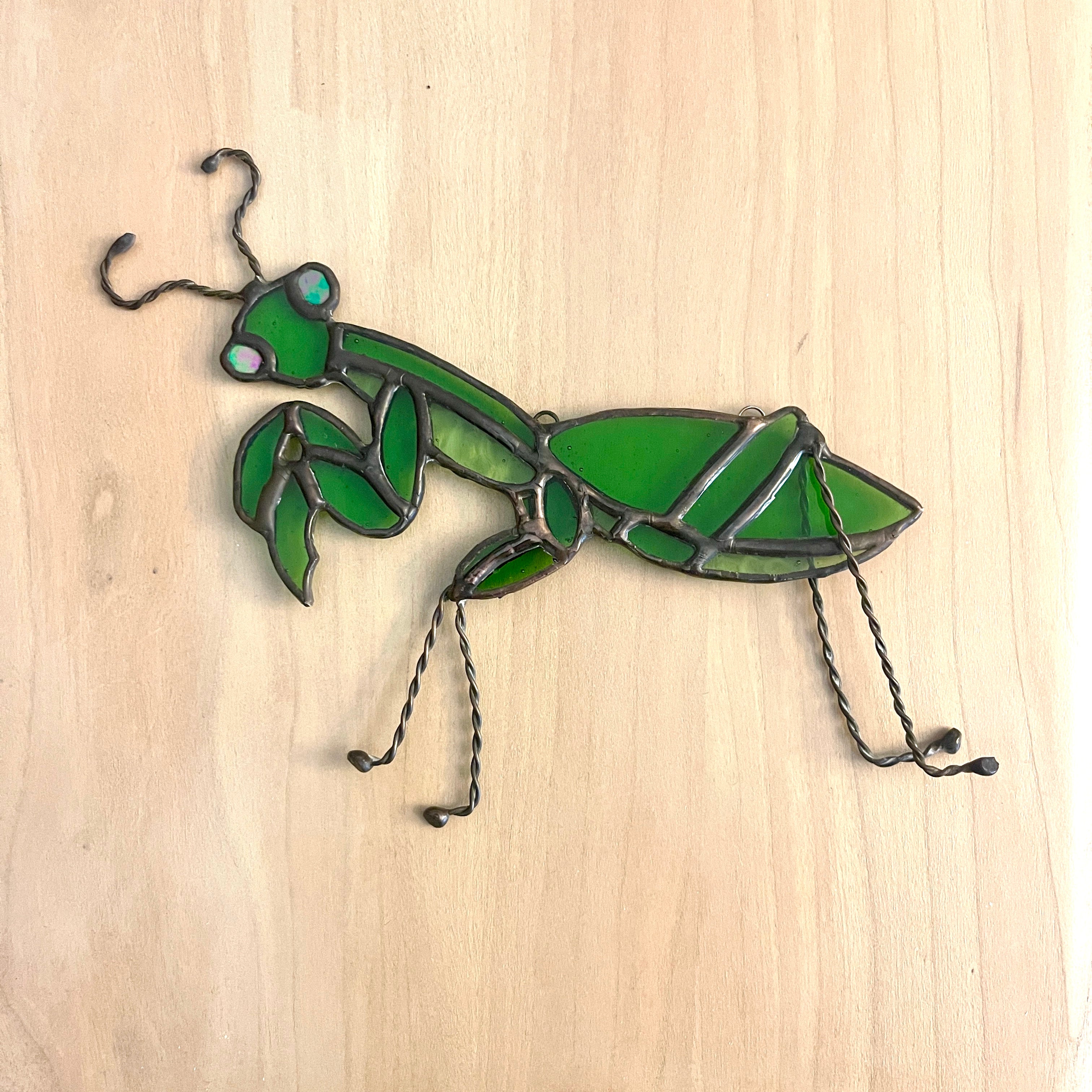 Preying mantis-1