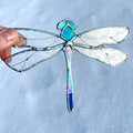 Dragonfly-7