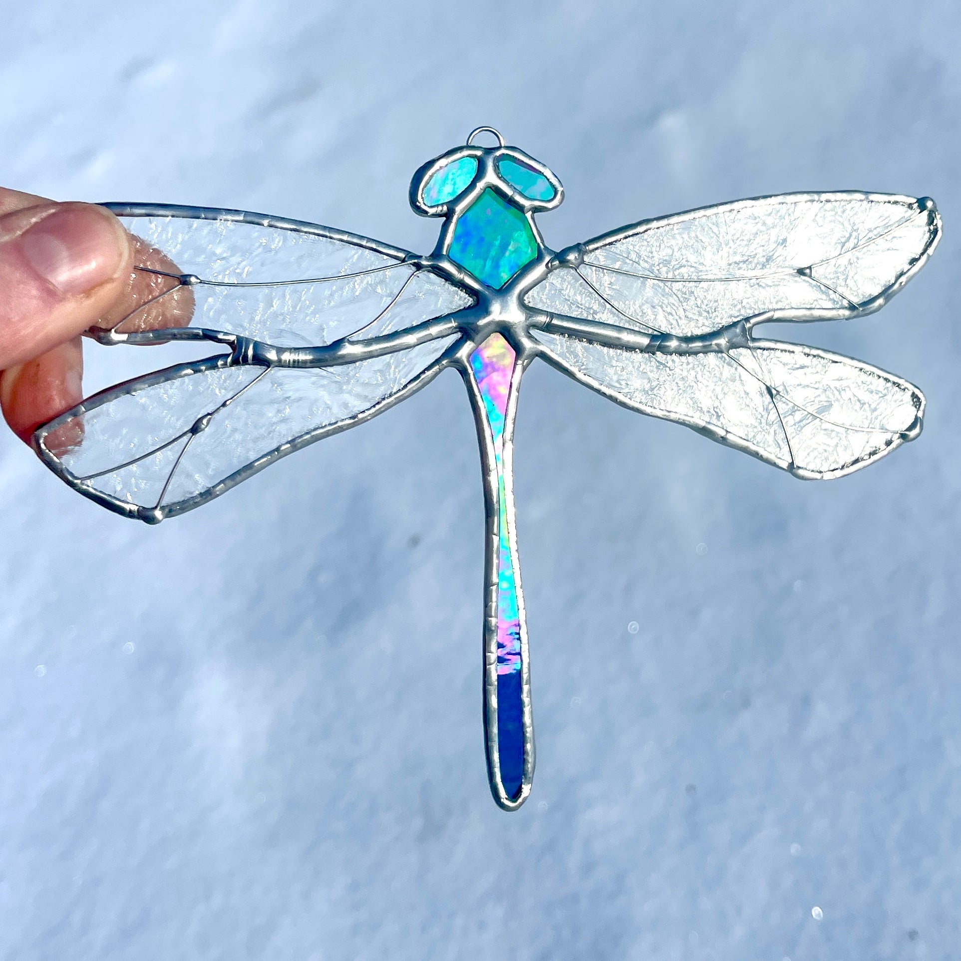 Dragonfly-7