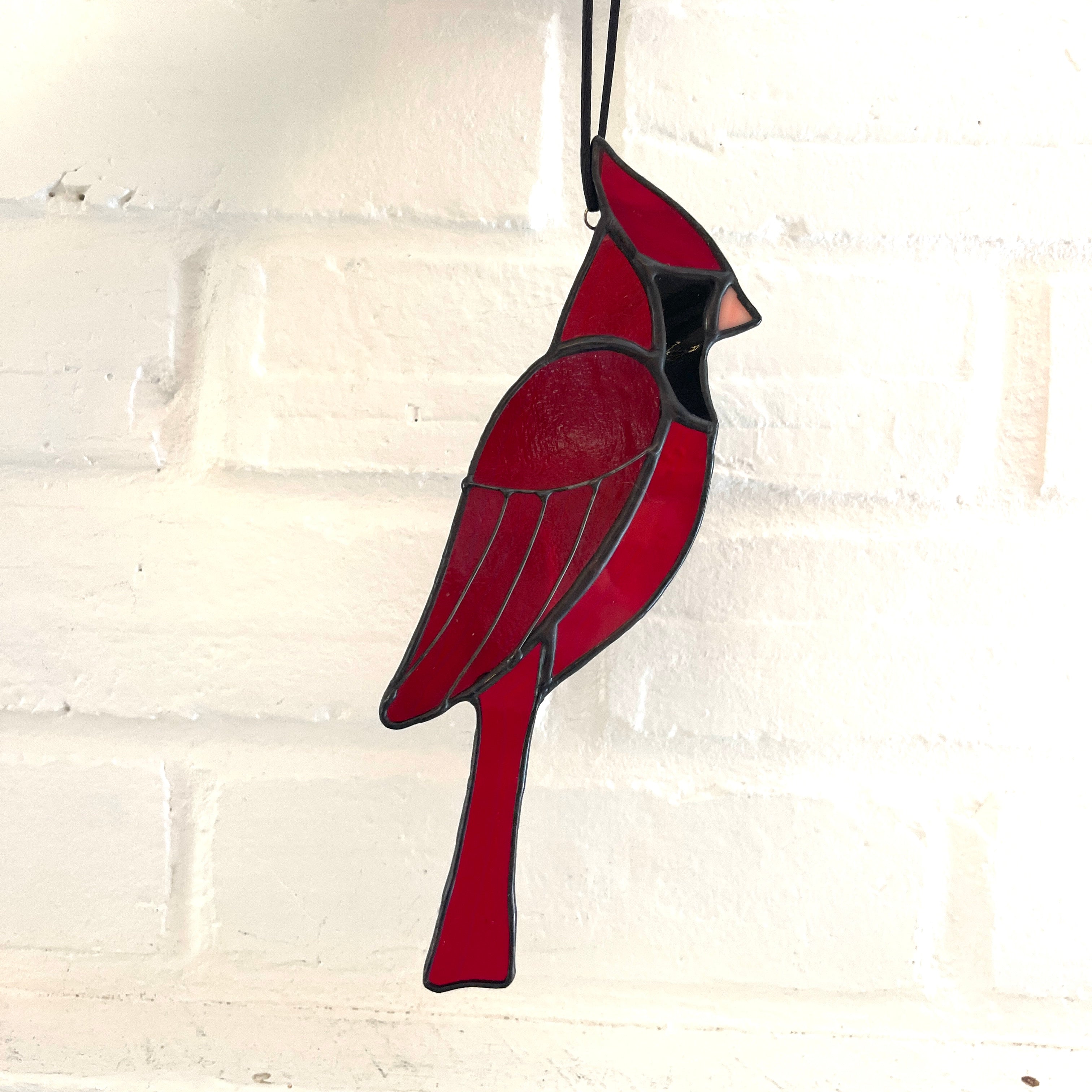 Cardinal-30