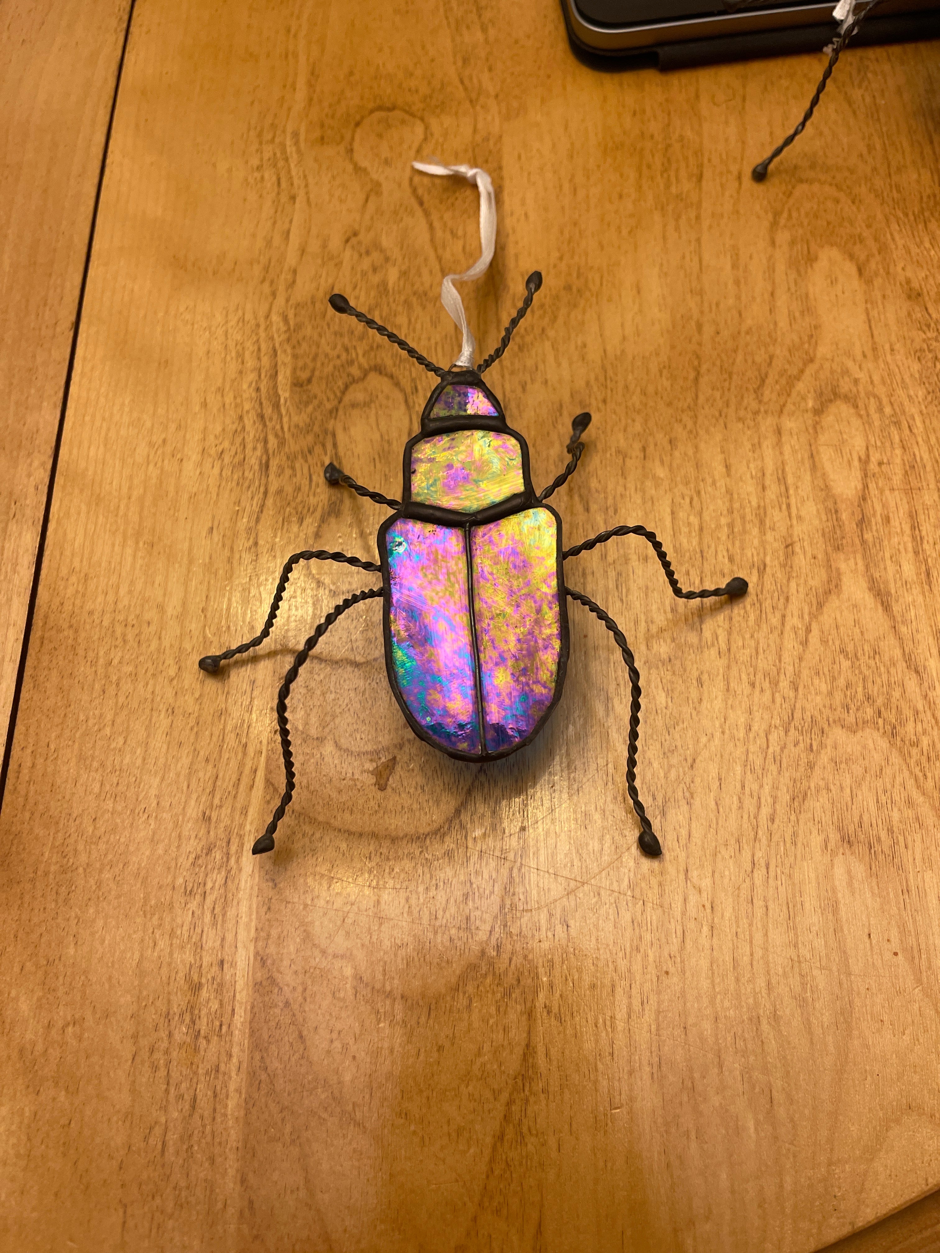 Cobalt Milkweed Beetle-3