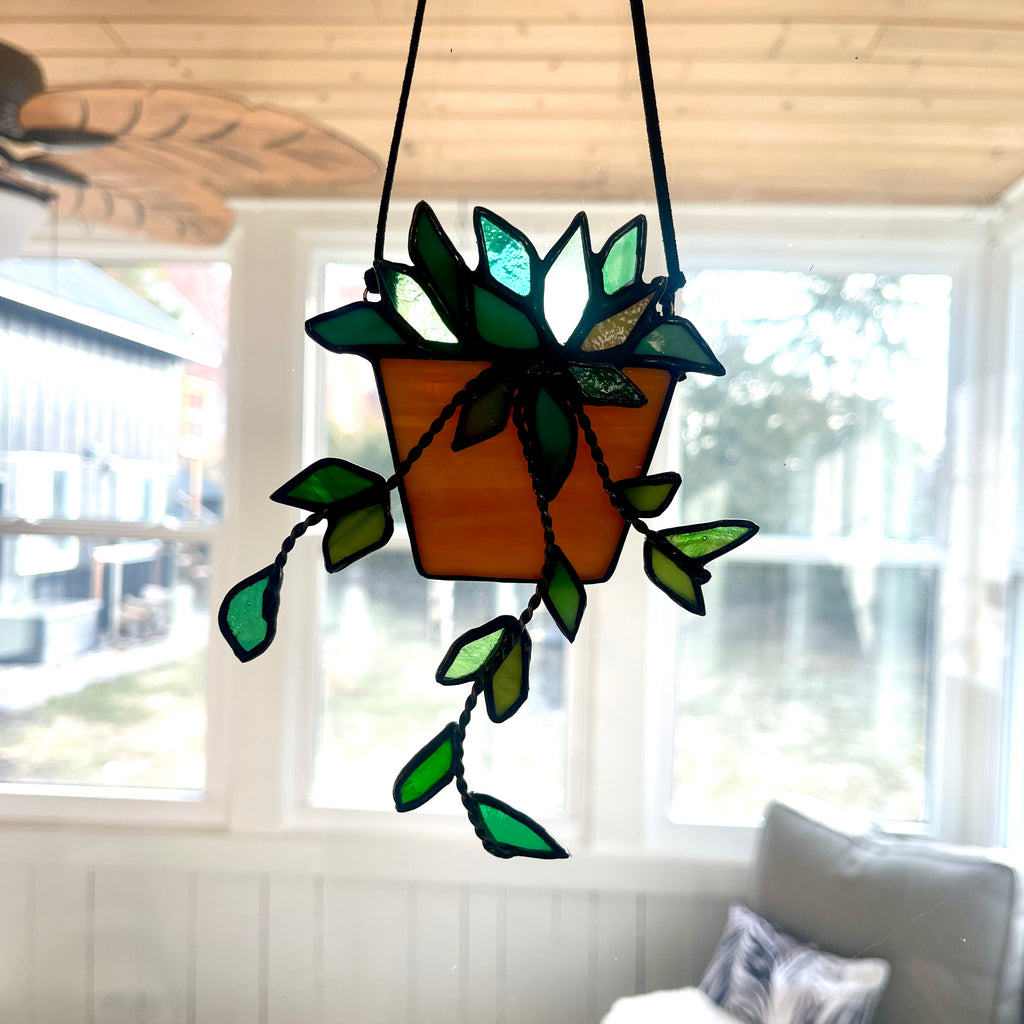 Hanging Plant-13