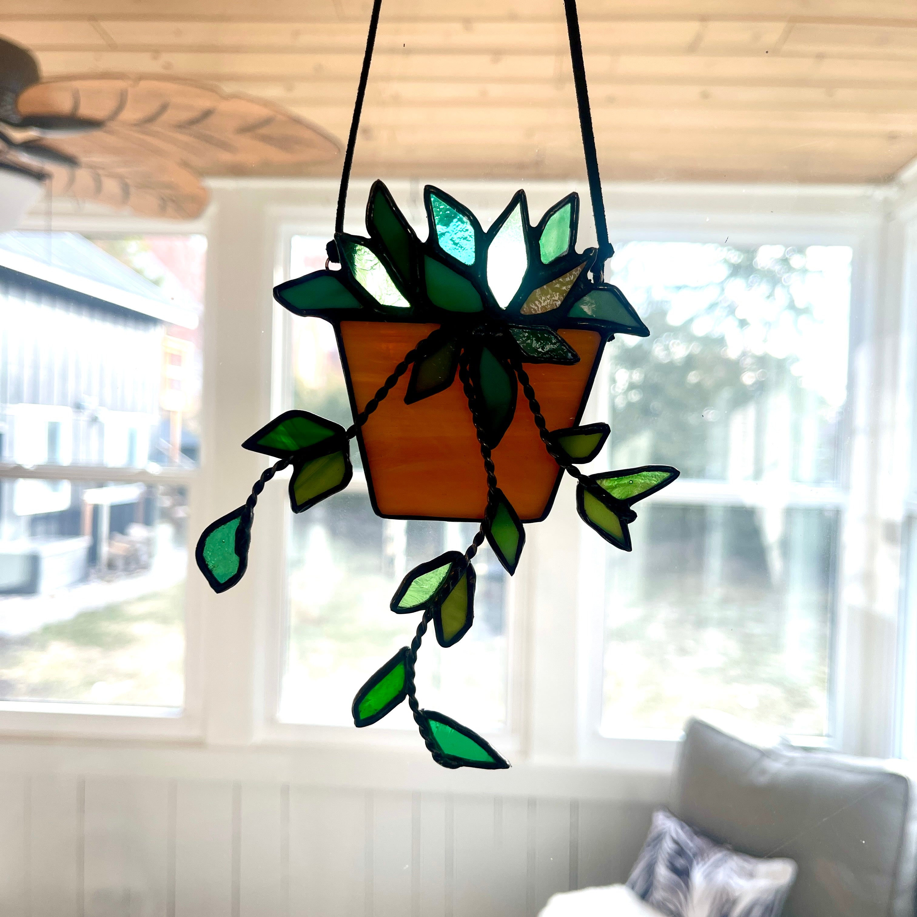 Hanging Plant-13