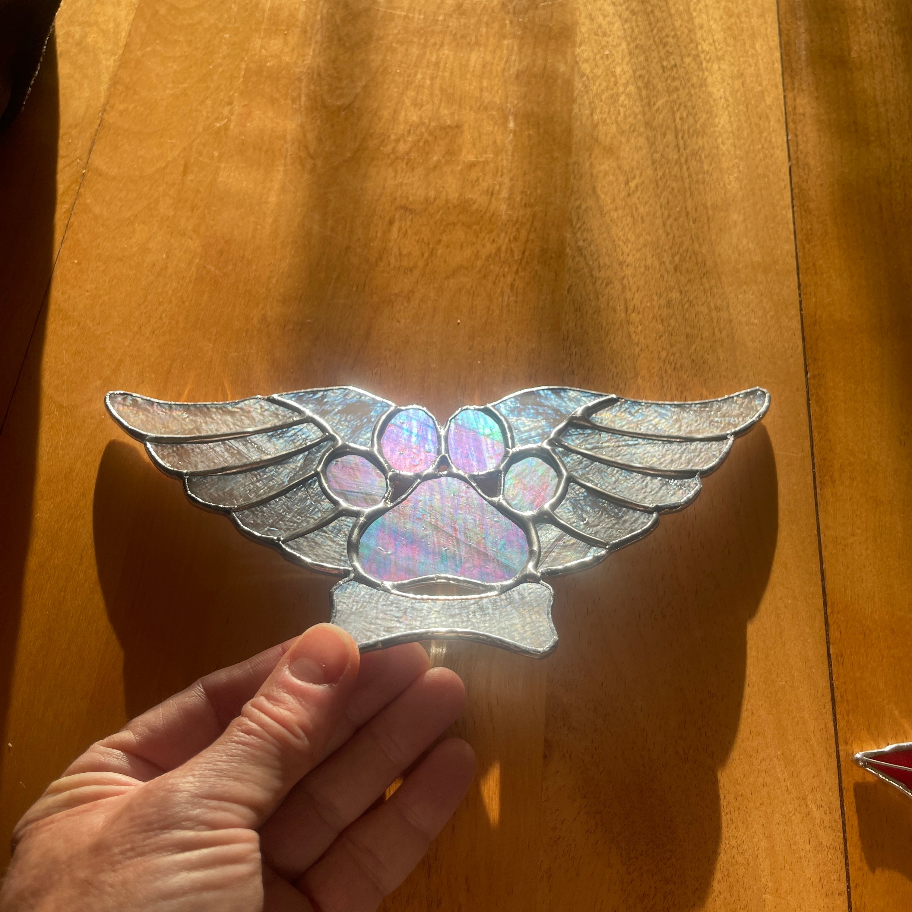 Angel Paw-1