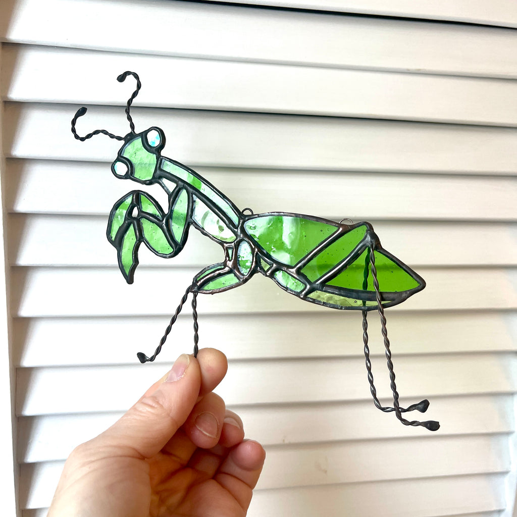 Preying mantis-1