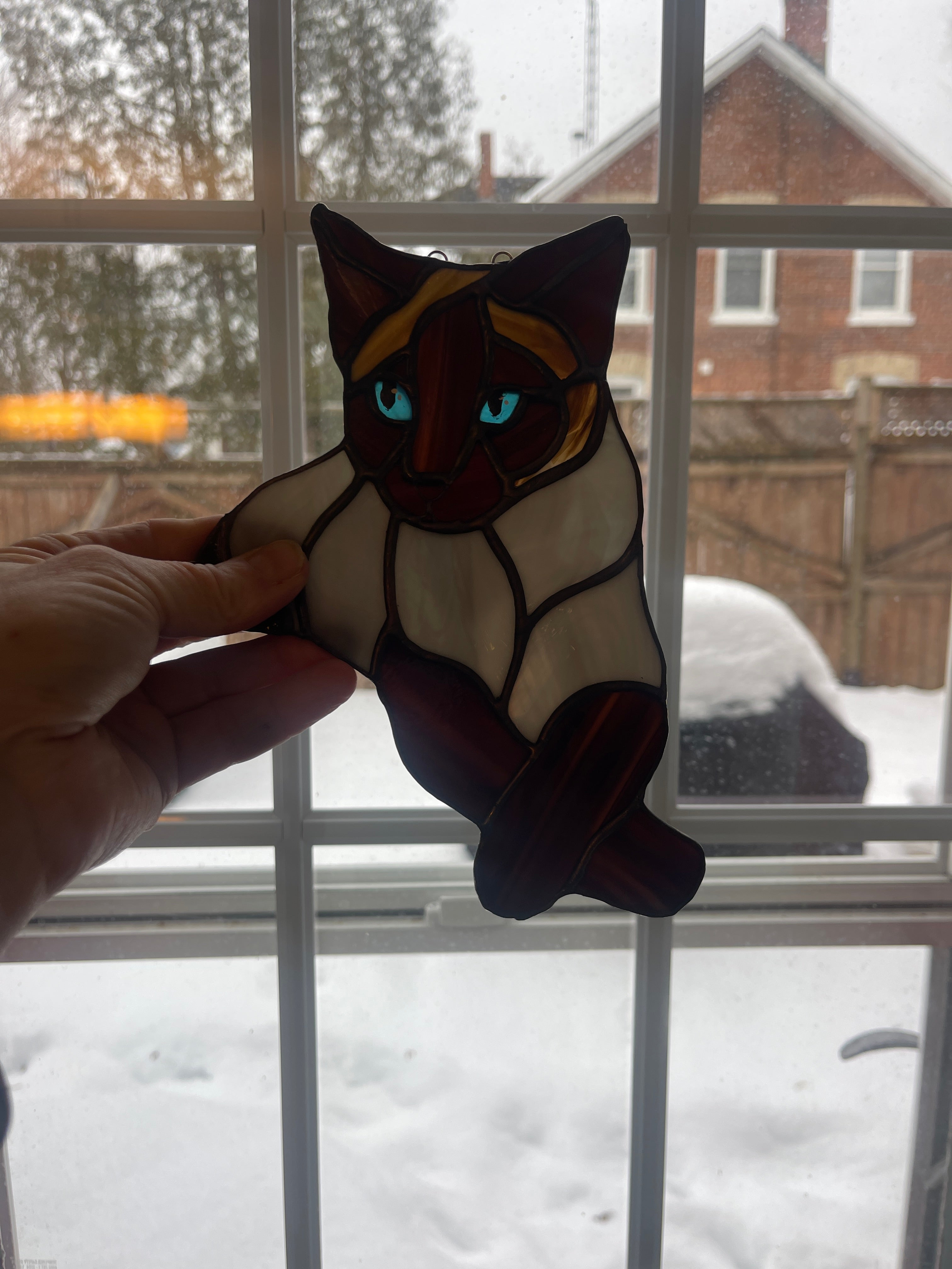 Custom Cat-1