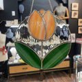 Tulip -4