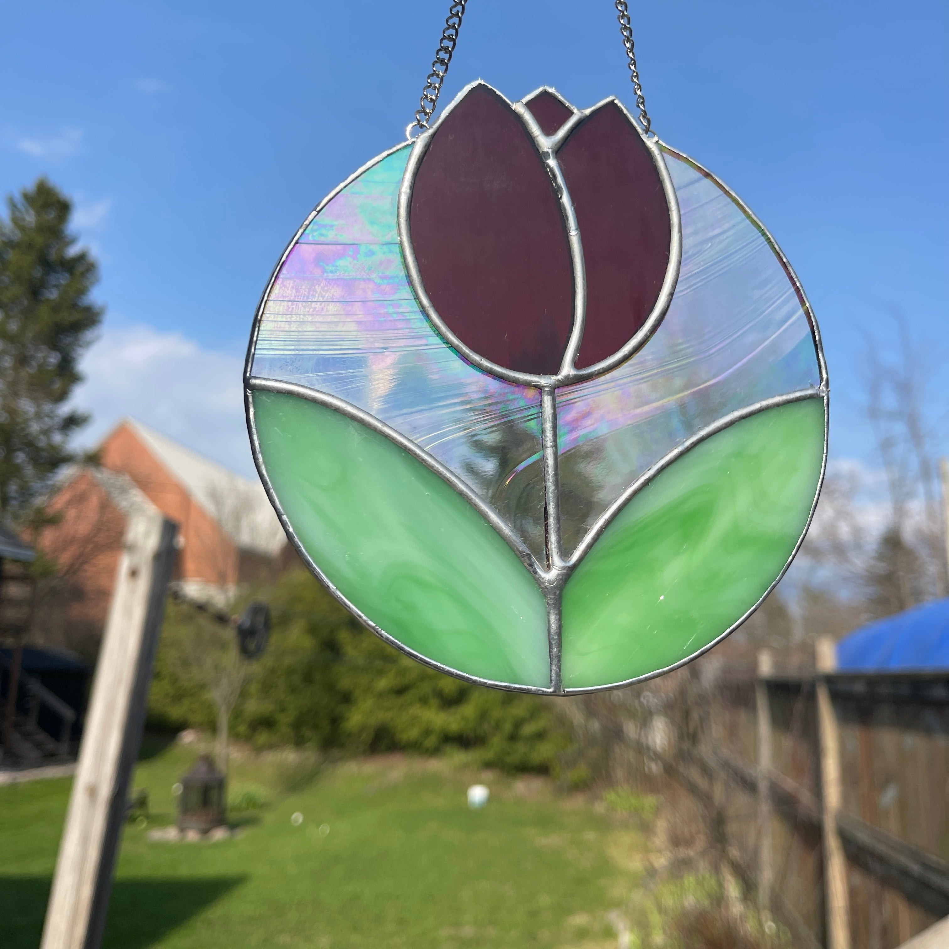 Tulip-10