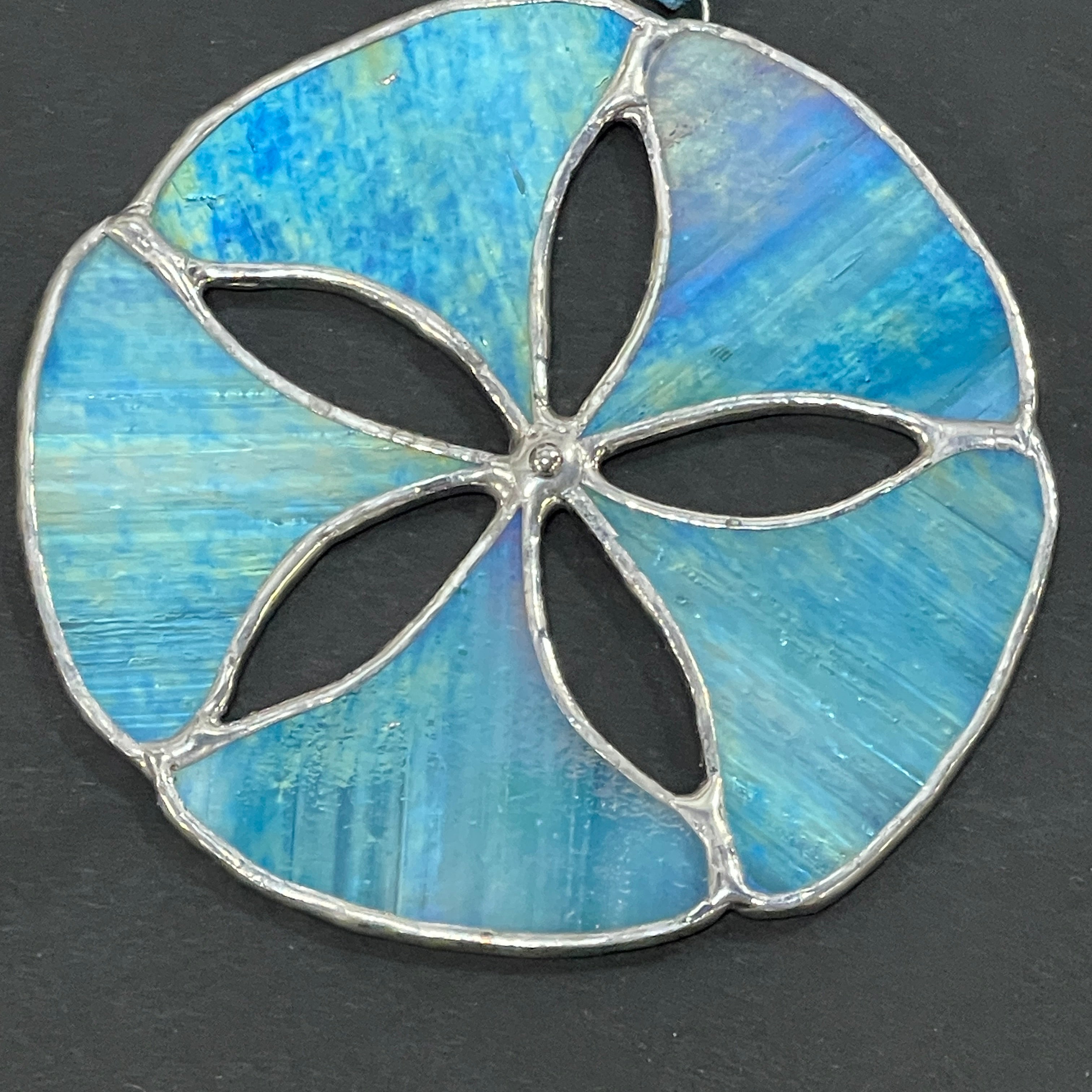Sand Dollar-13
