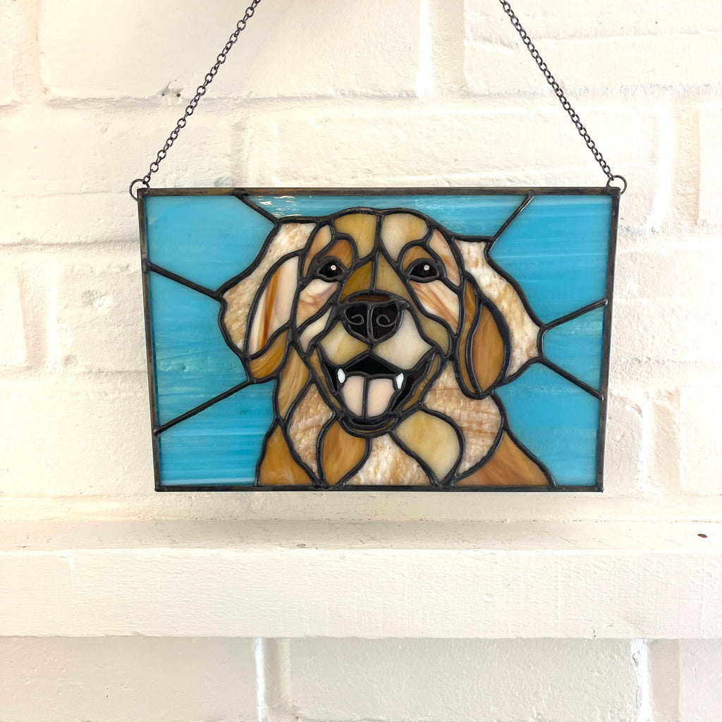 Golden Retriever-6