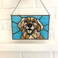 Golden Retriever-6