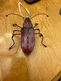 Milkweed Beetle-2
