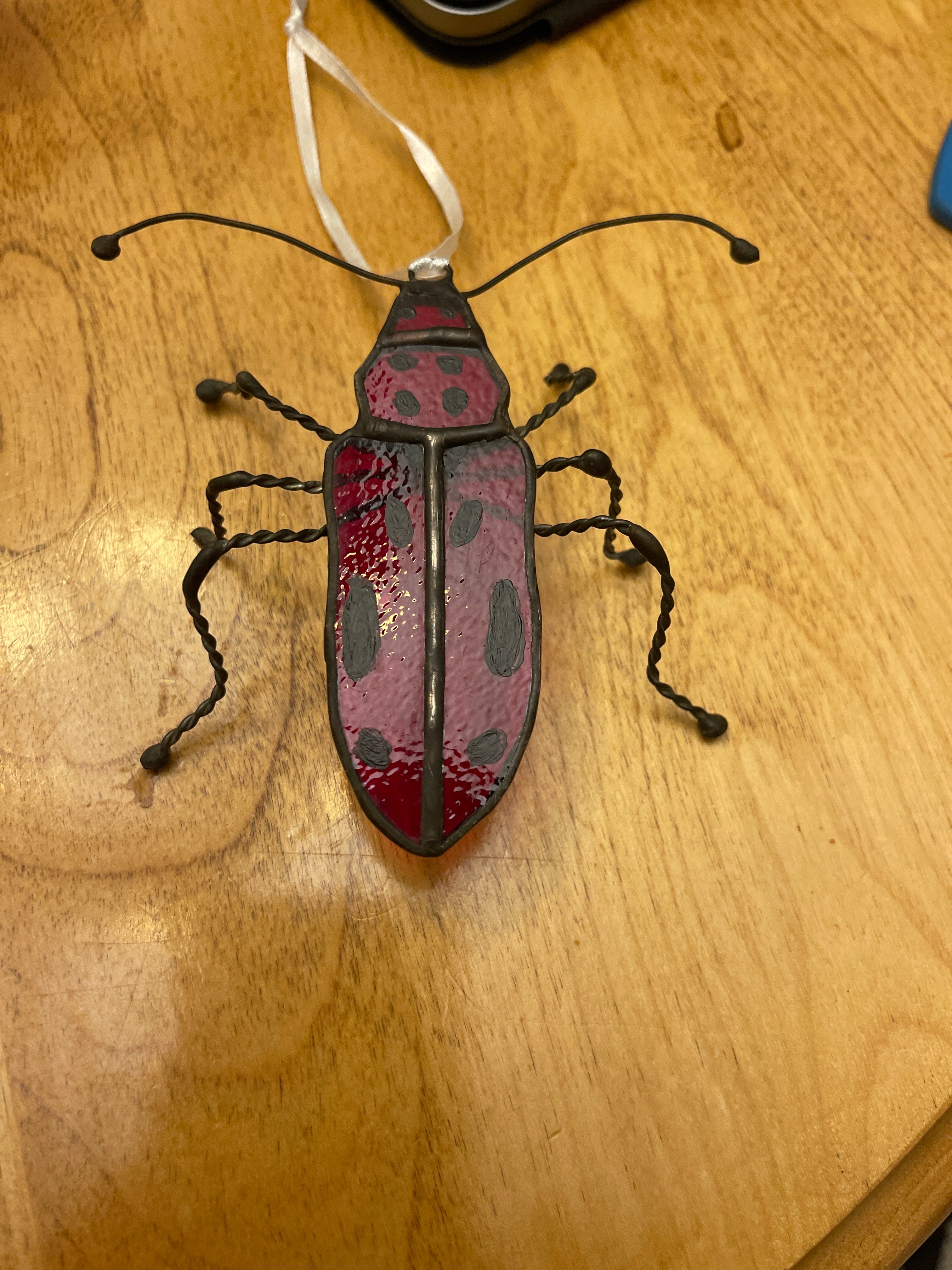 Milkweed Beetle-2