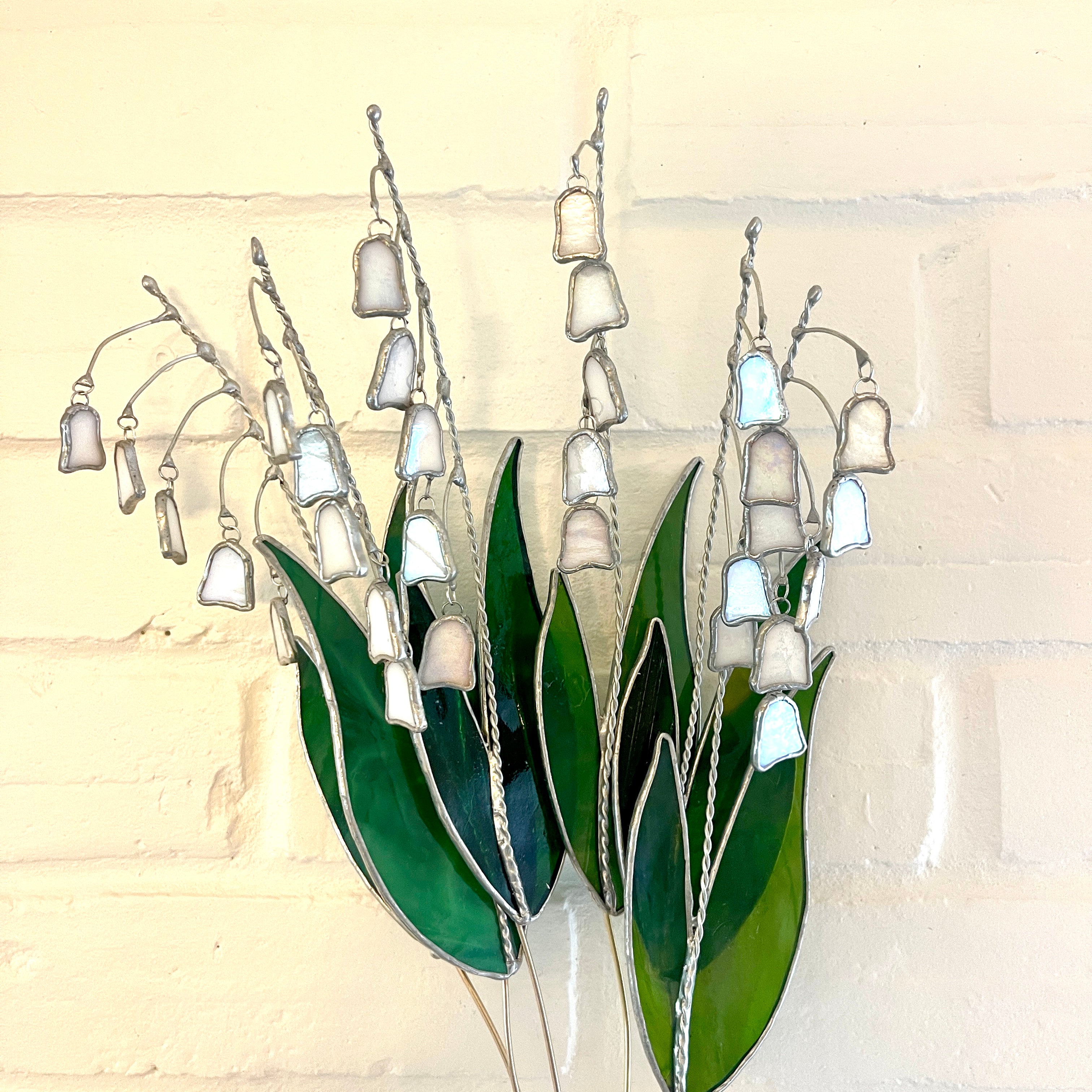Lily Bunch