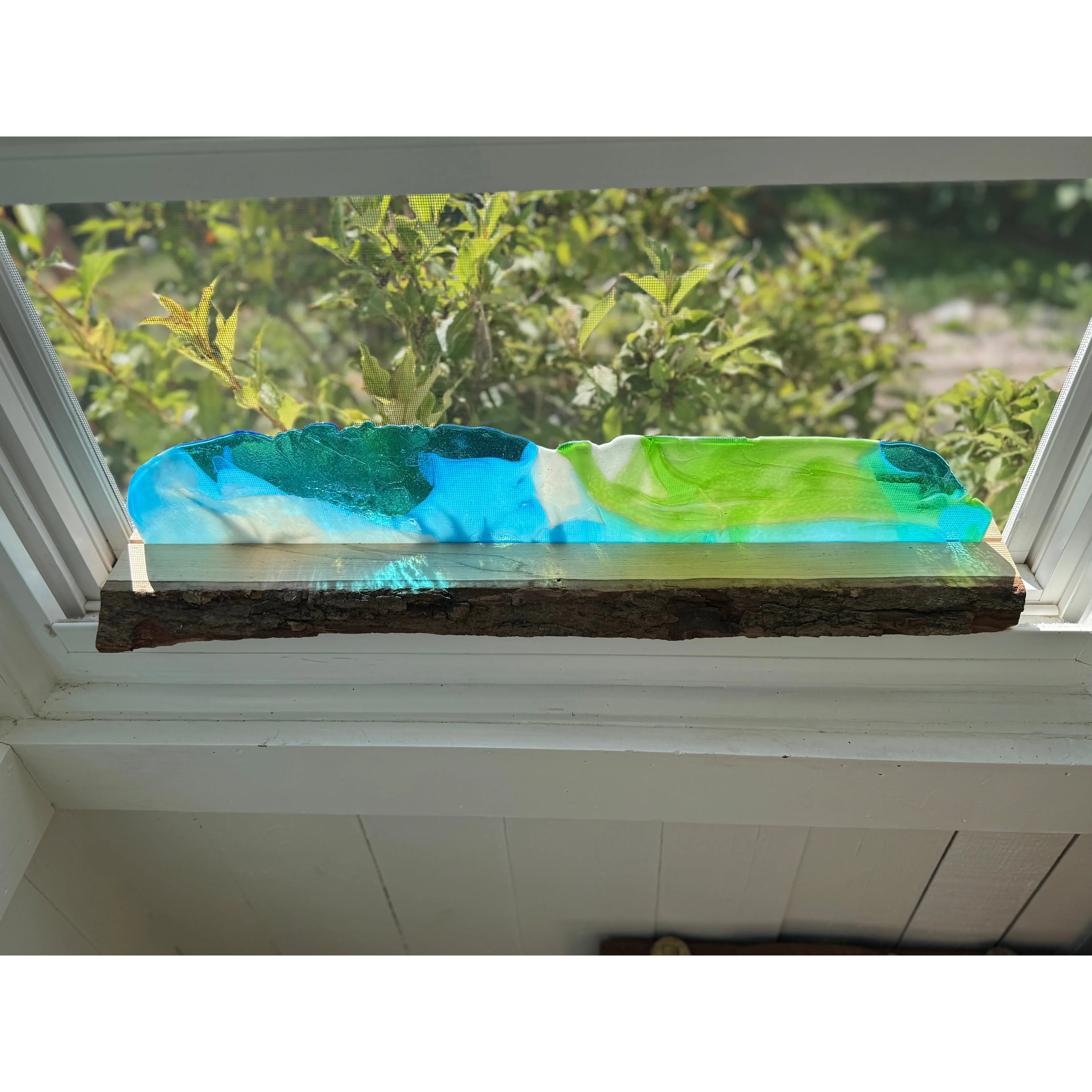 Clear Skies Ahead on Ambrosia Maple