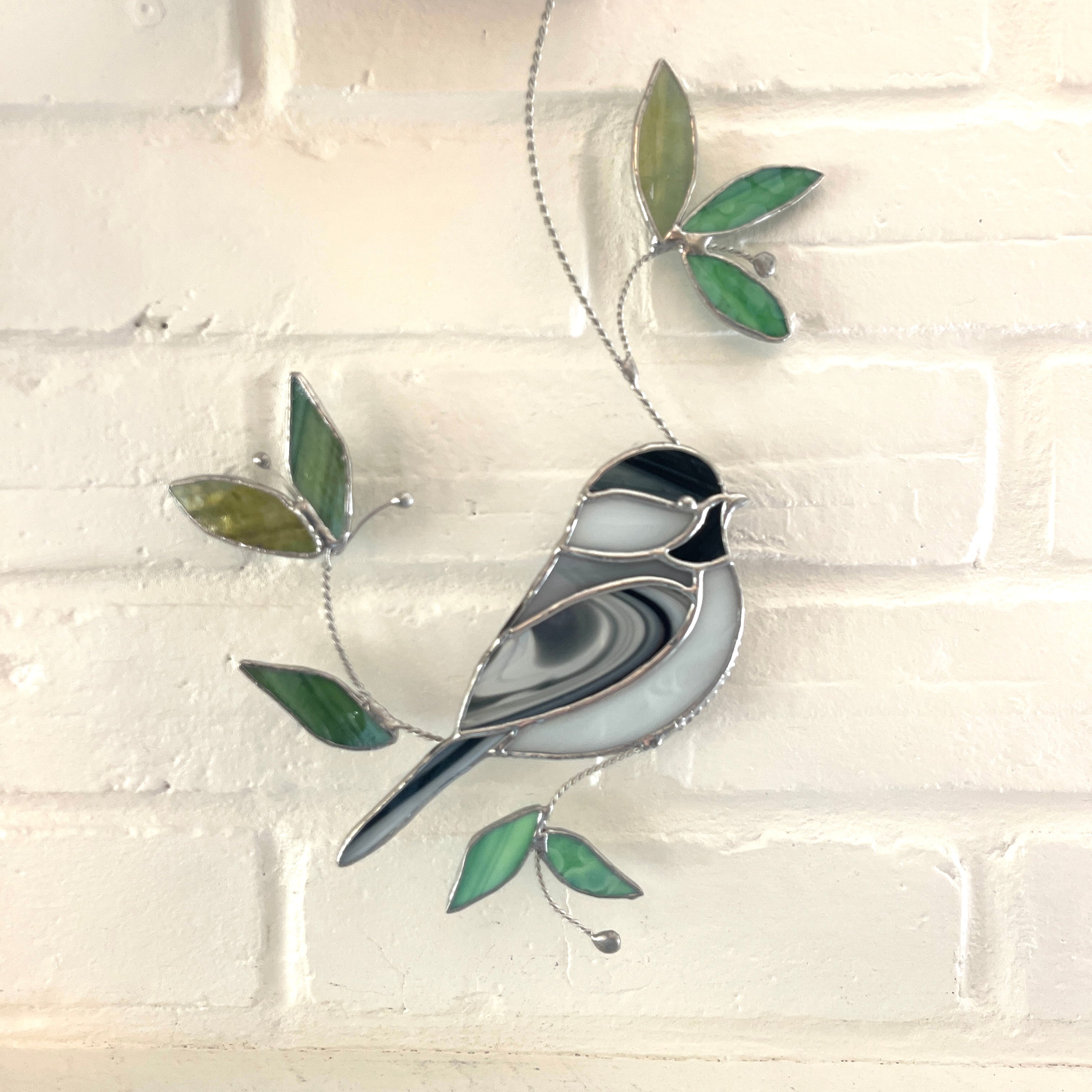 Chickadee-6