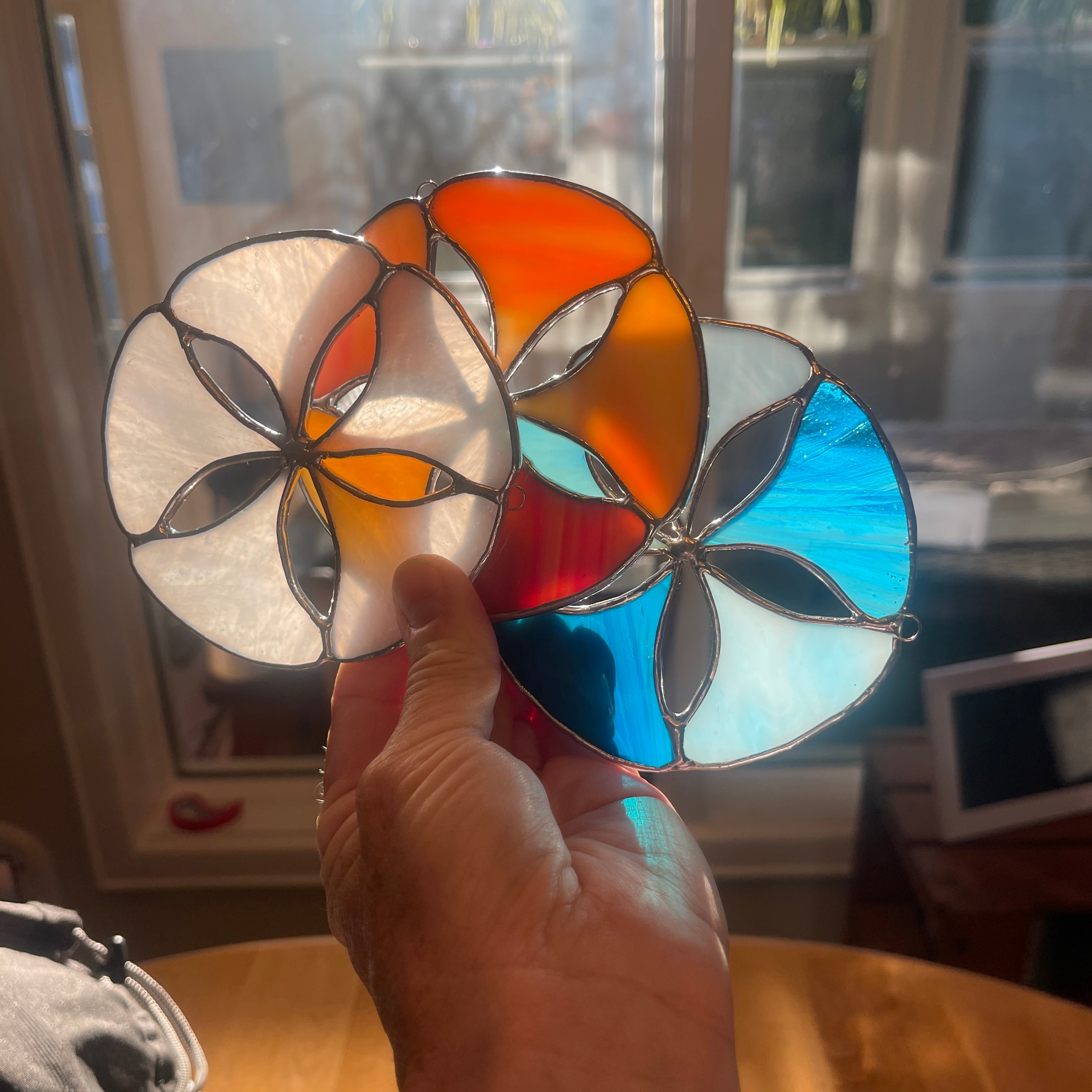 Sand Dollar-1