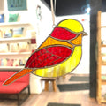 Chubby Bird-4