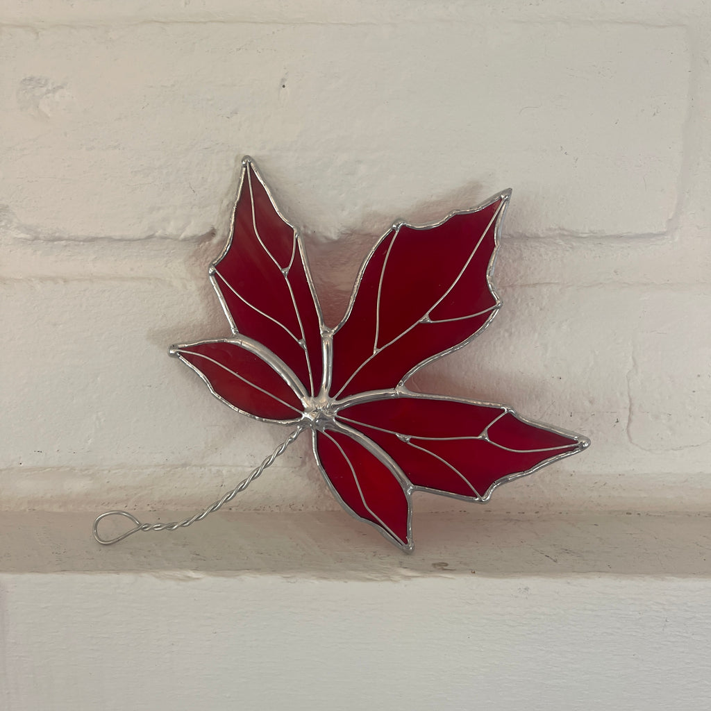 Maple Leaf-4